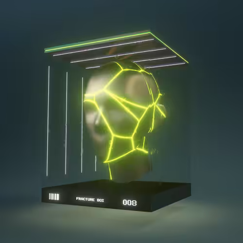 Fracture Boi: FRACTURE BOI - 008
