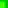 mg1.1E9A5466.4