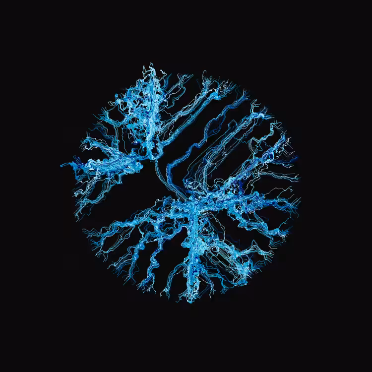 Ginseng #49