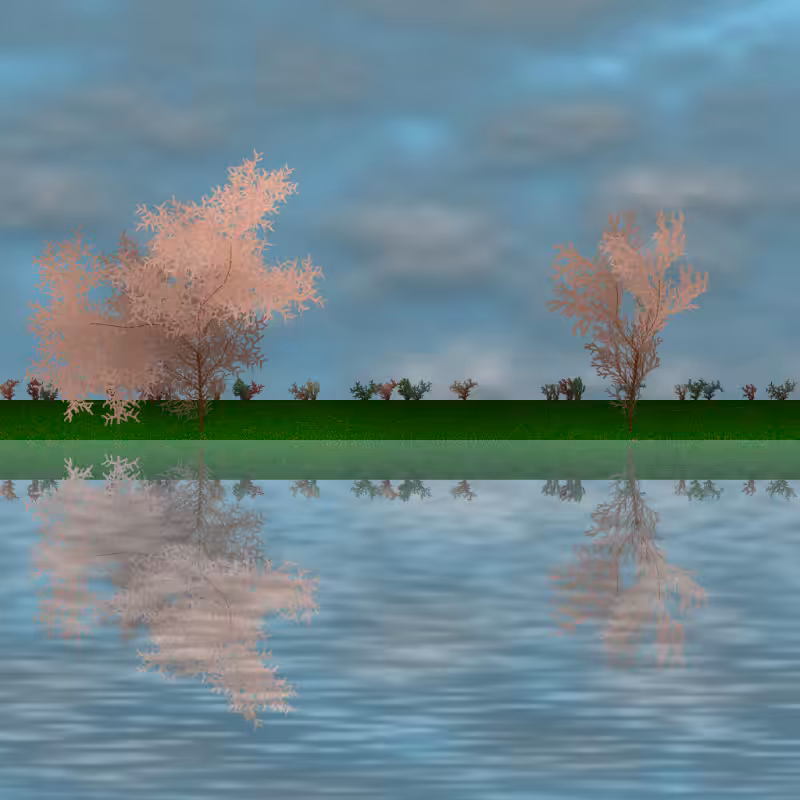 The dancing grove #56