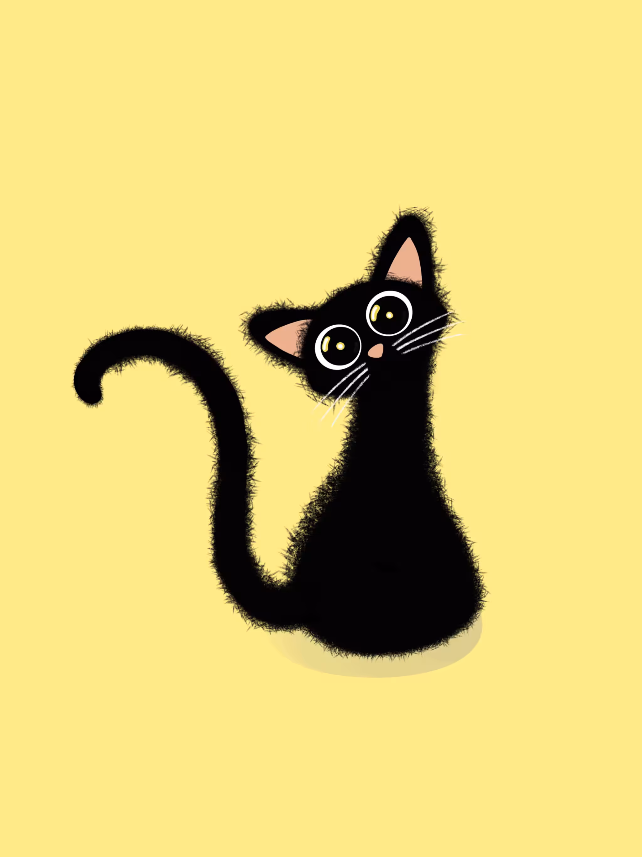 kittyverse