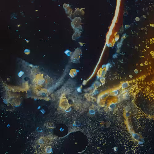 Molecular Atlas #50