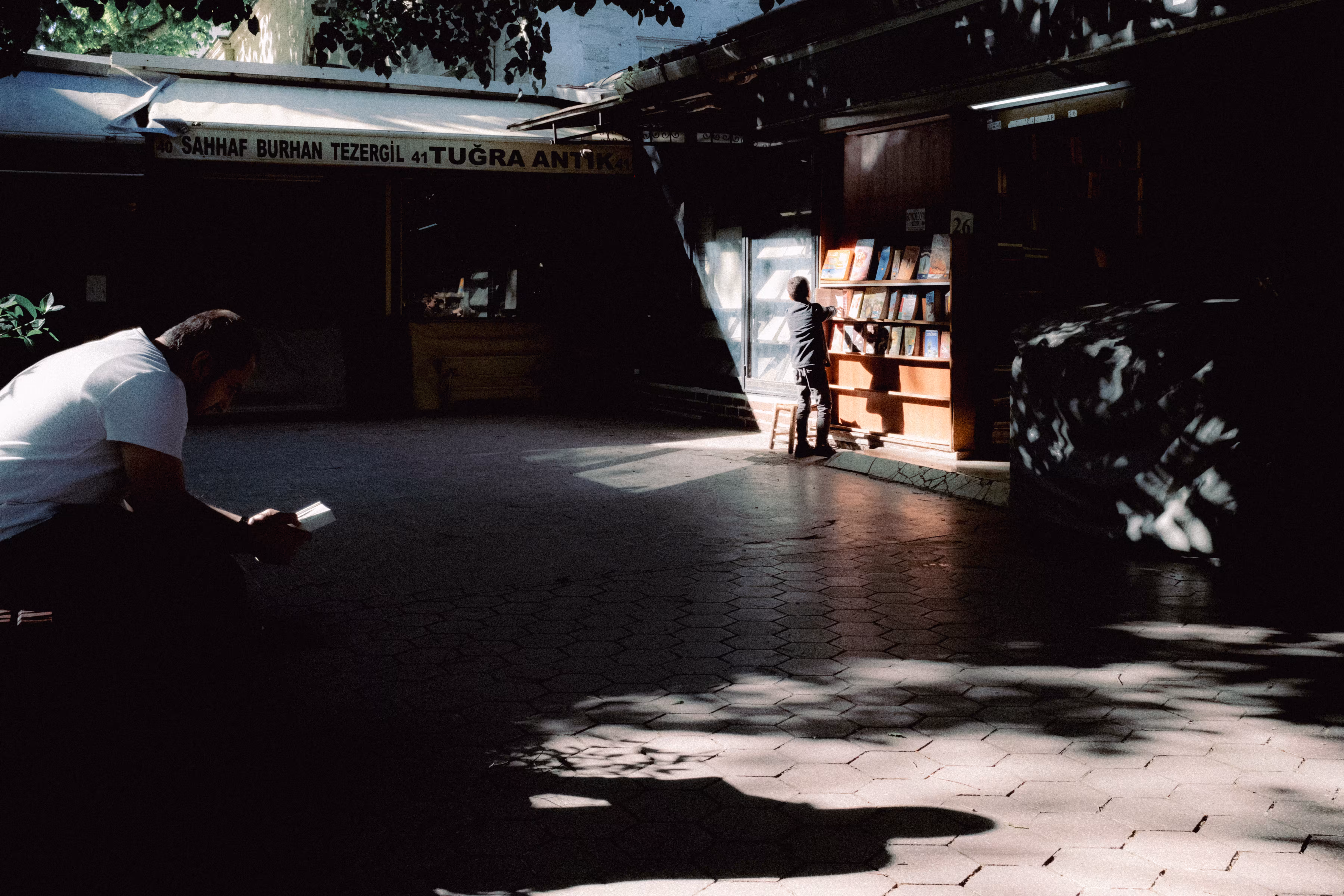 In Shadows Light Dances
