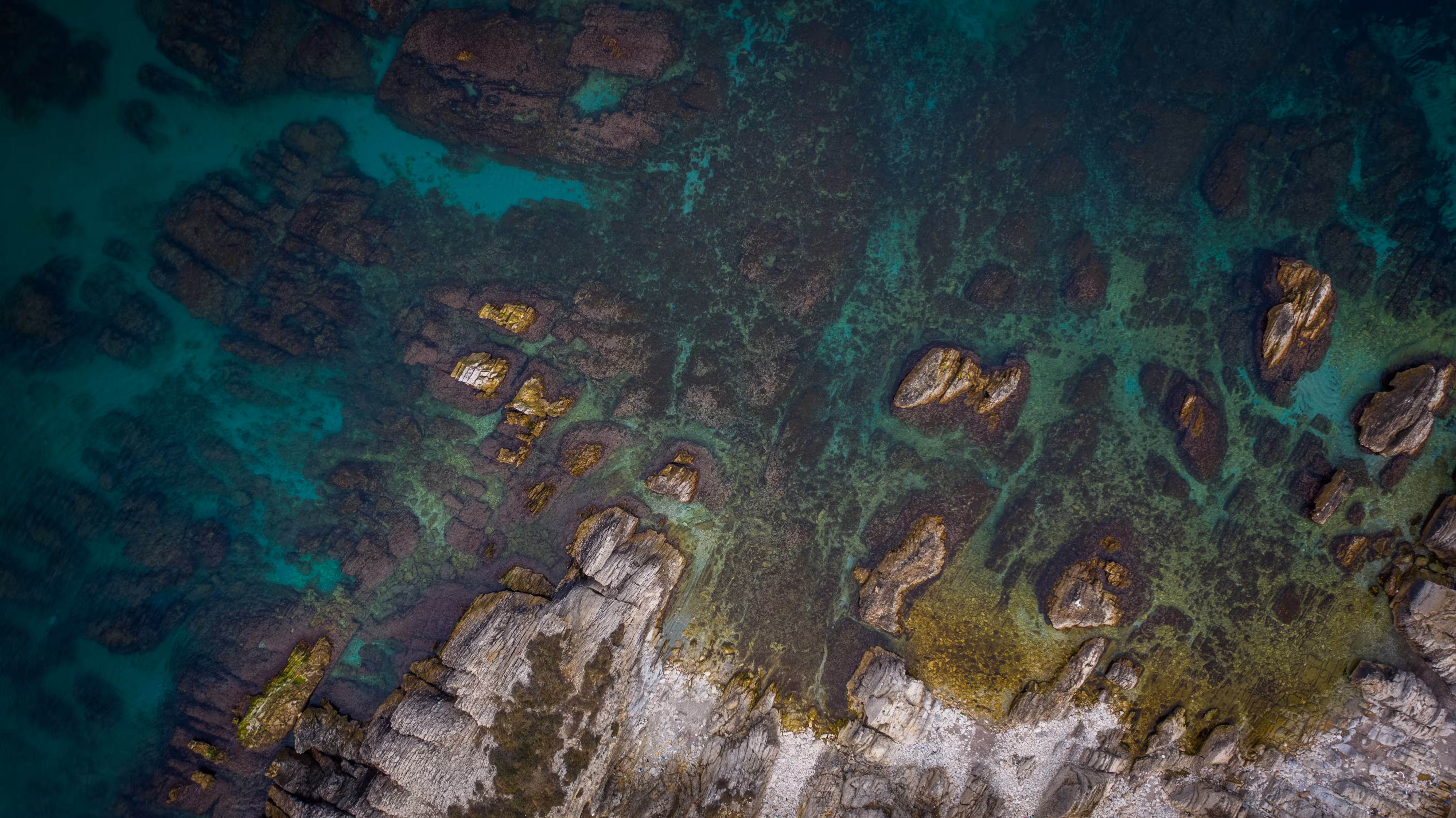Rocky Shores Aerials #1 