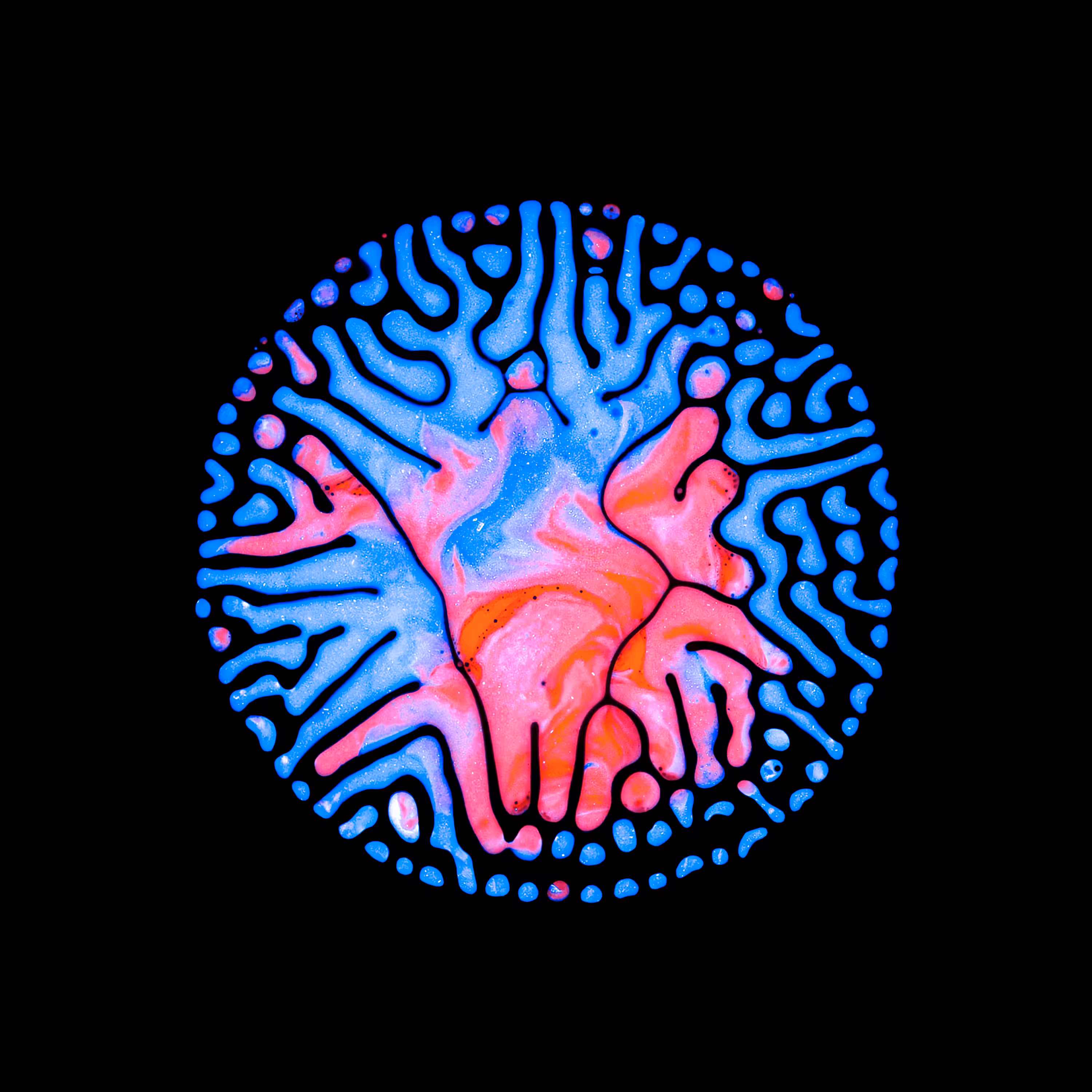 Haematopoiesis #180
