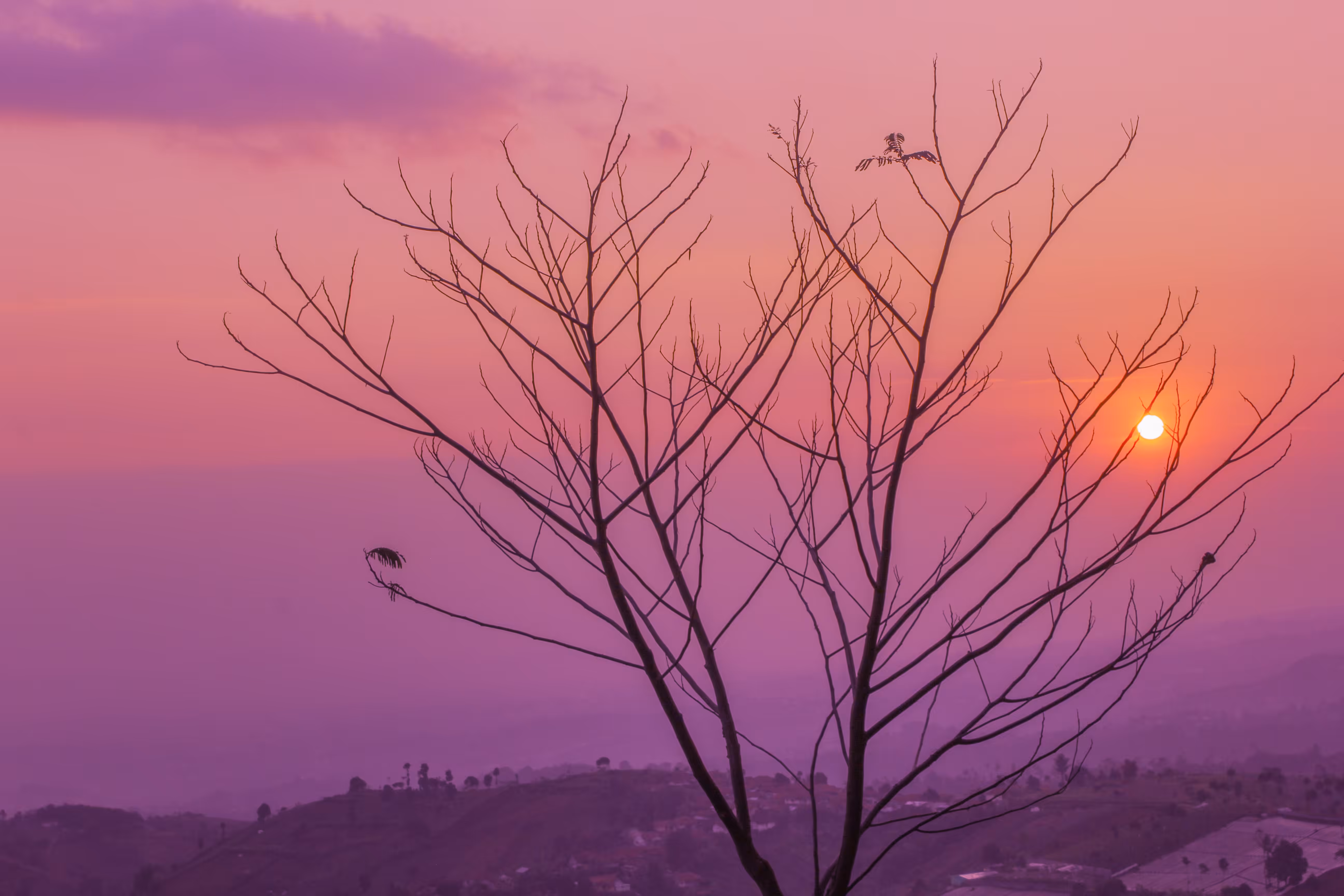 Sunset