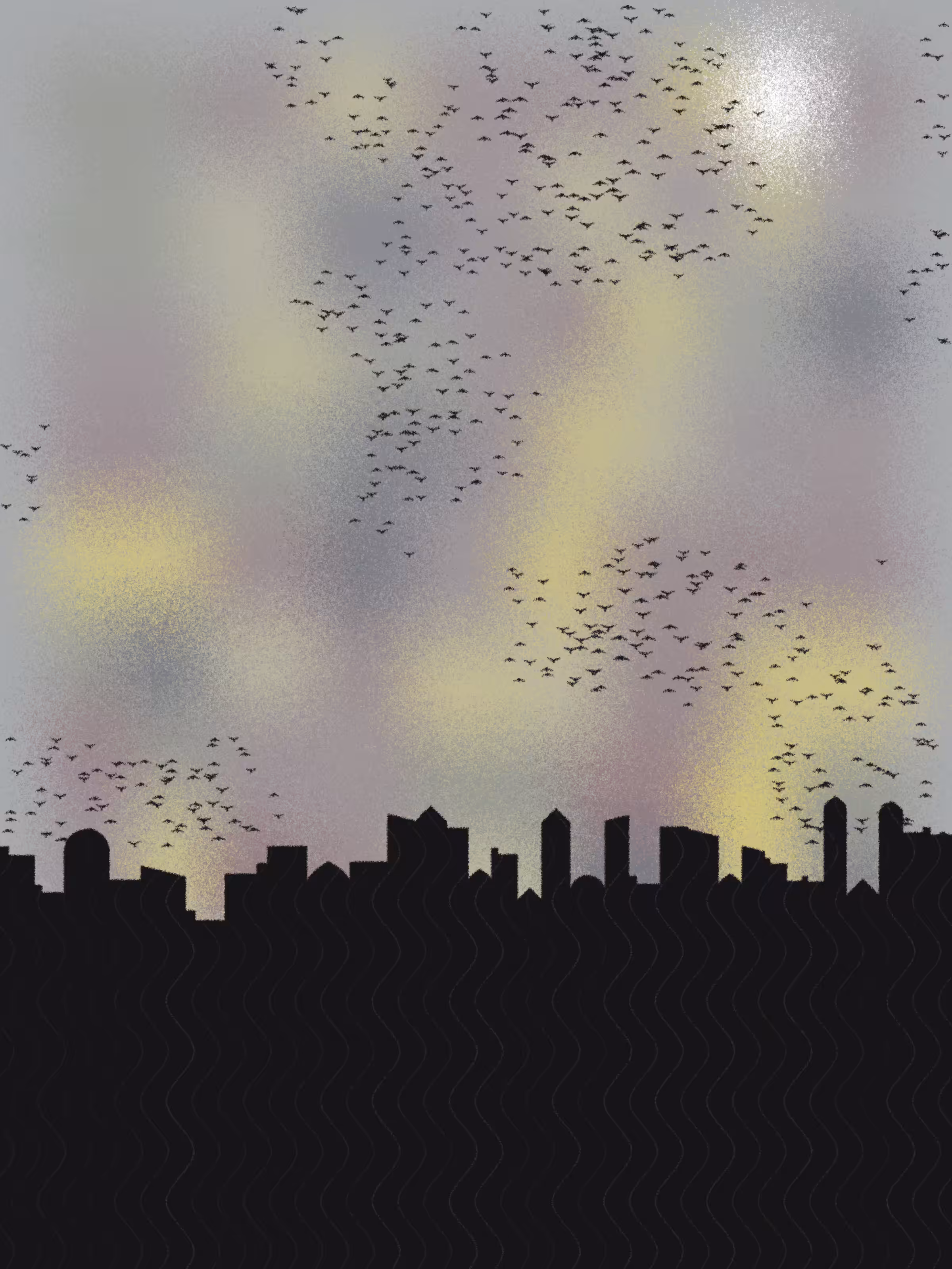 Avian Symphony #11