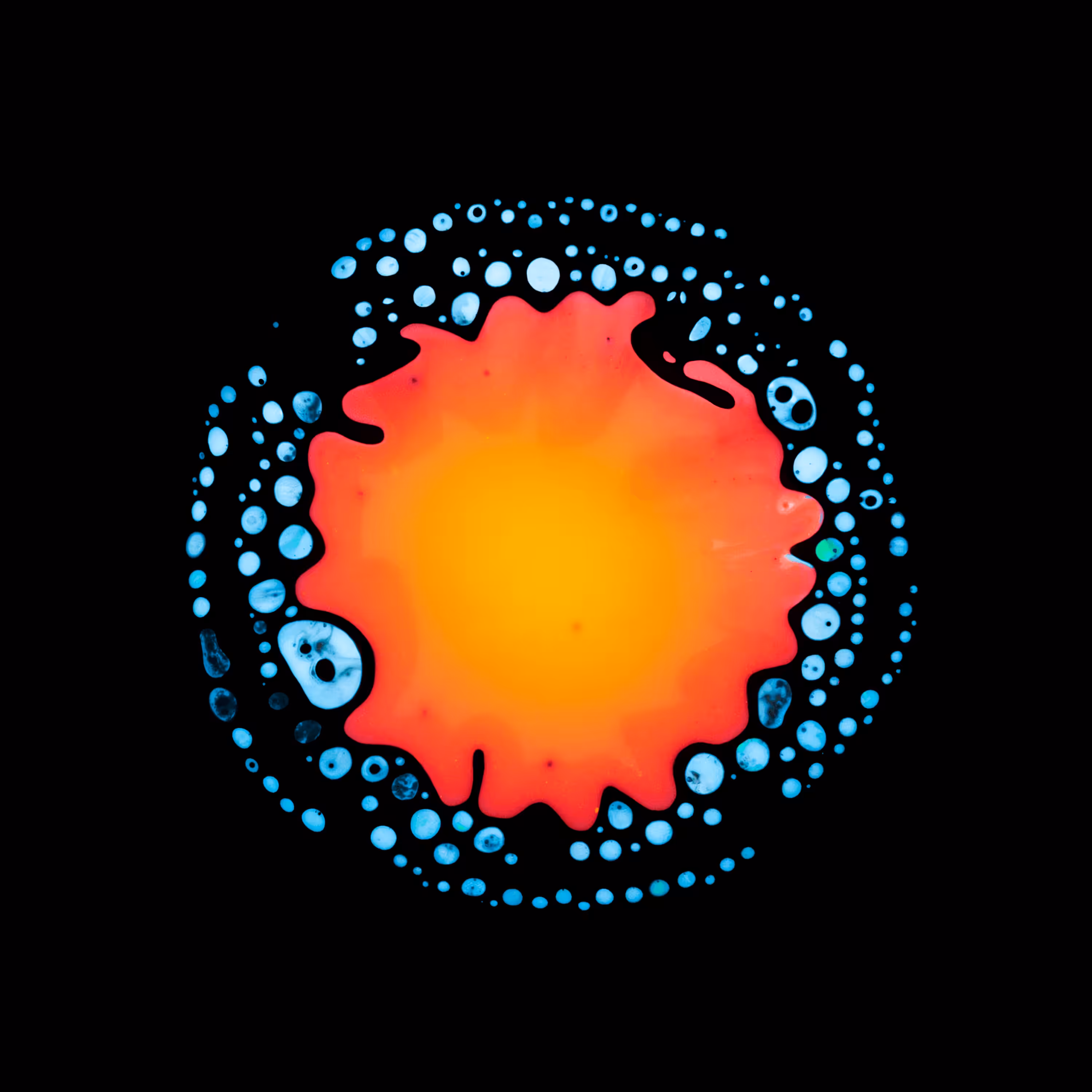 Haematopoiesis #164