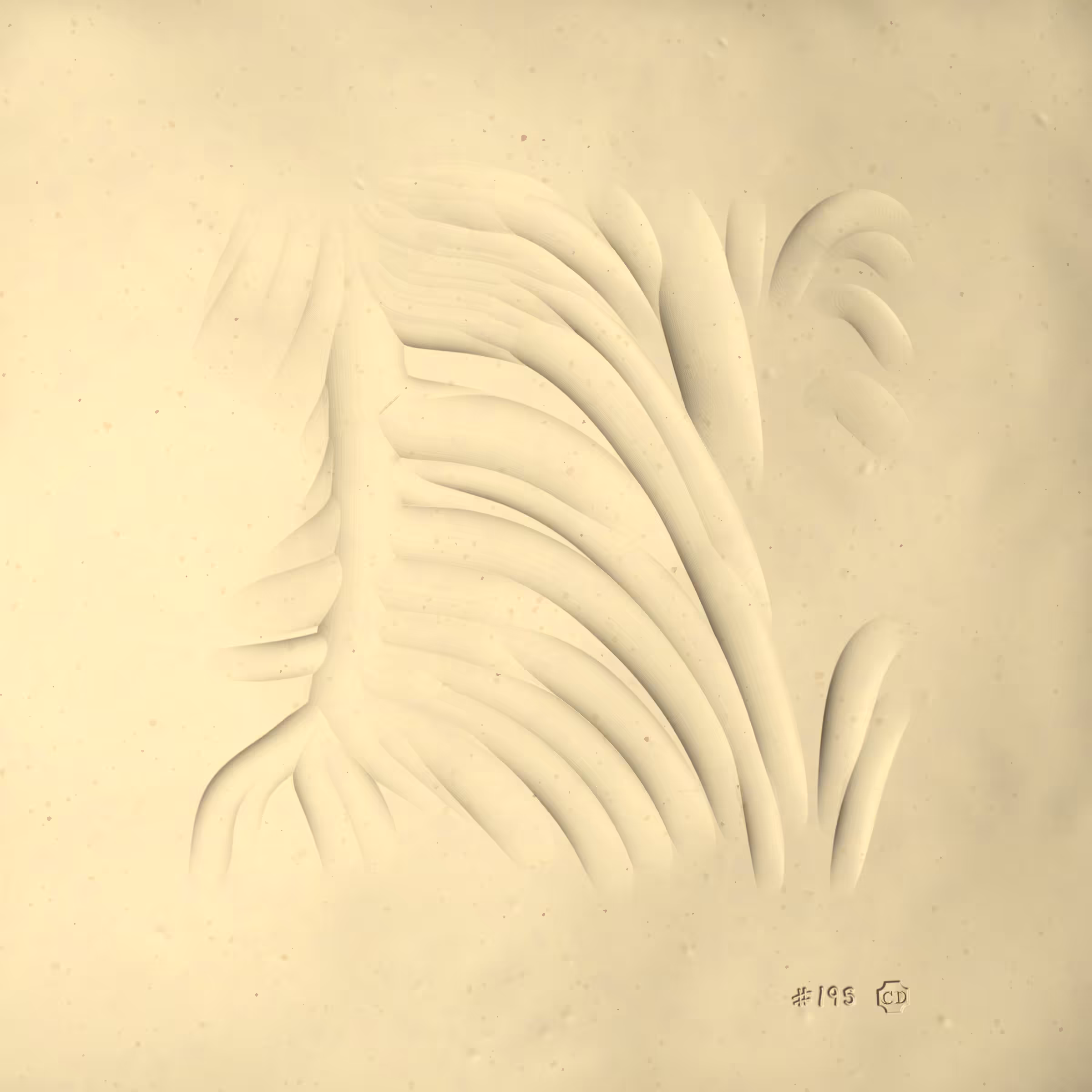 Ceramics #195