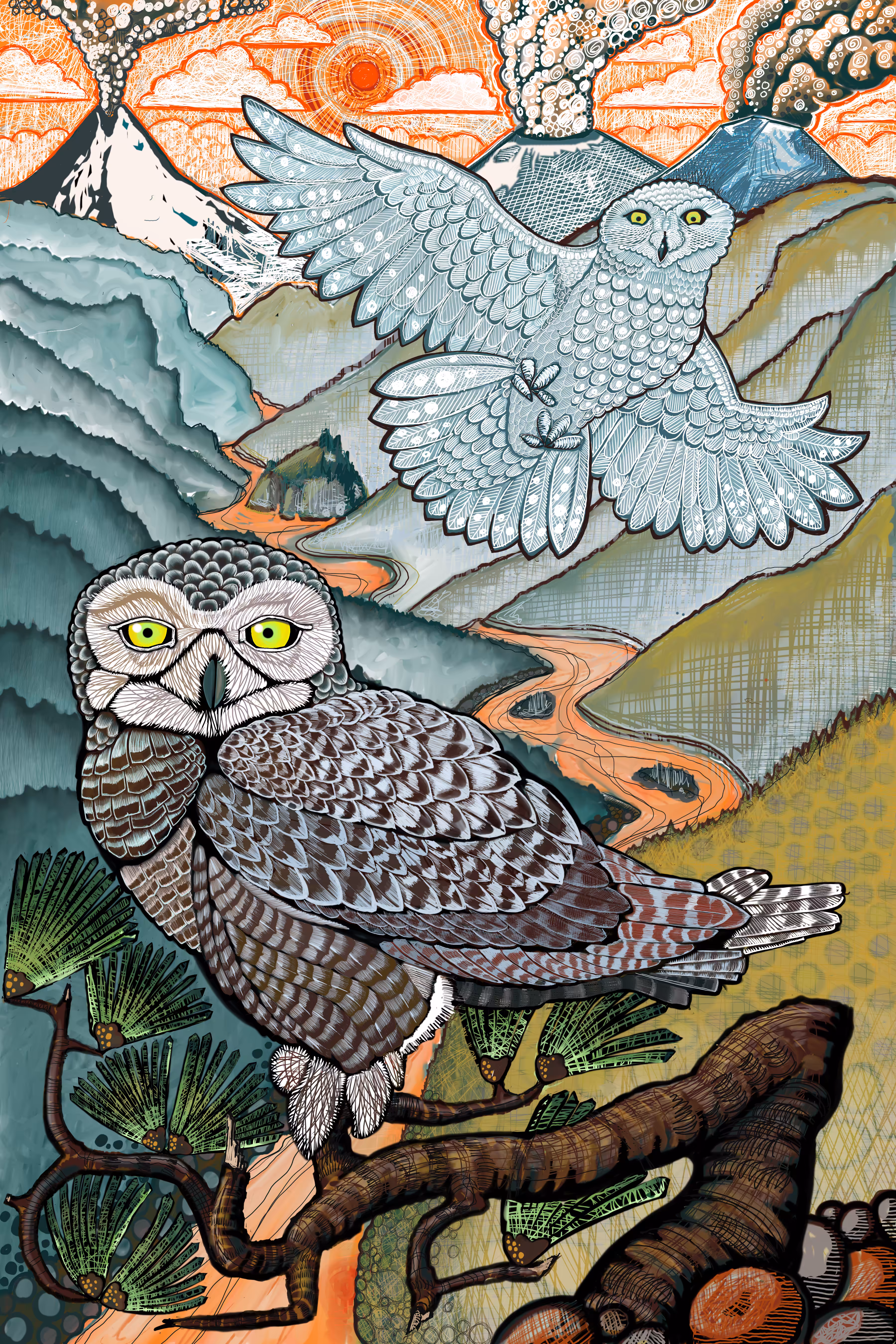 Snowy Owls Above Columbia River Gorge