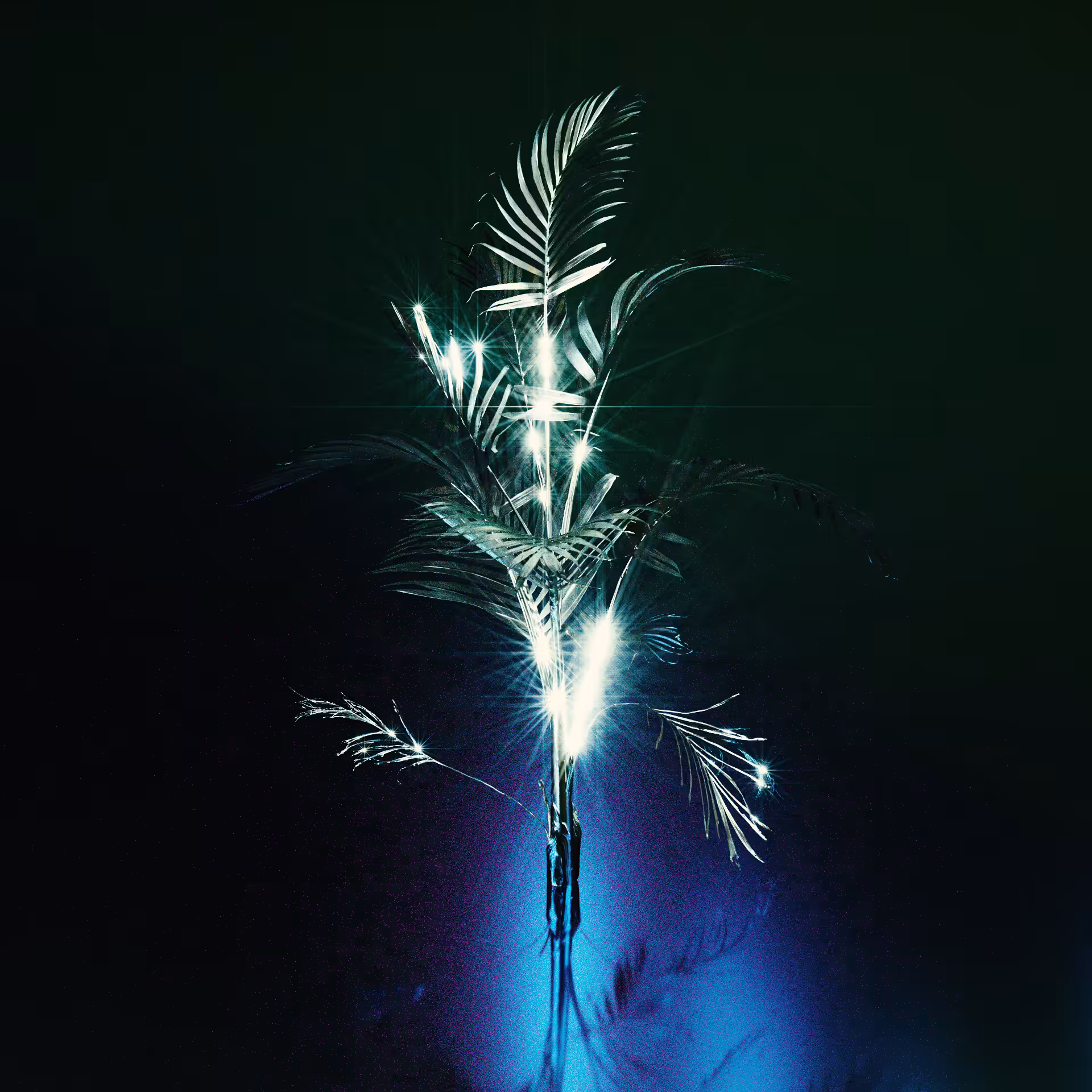 BLOOM-001