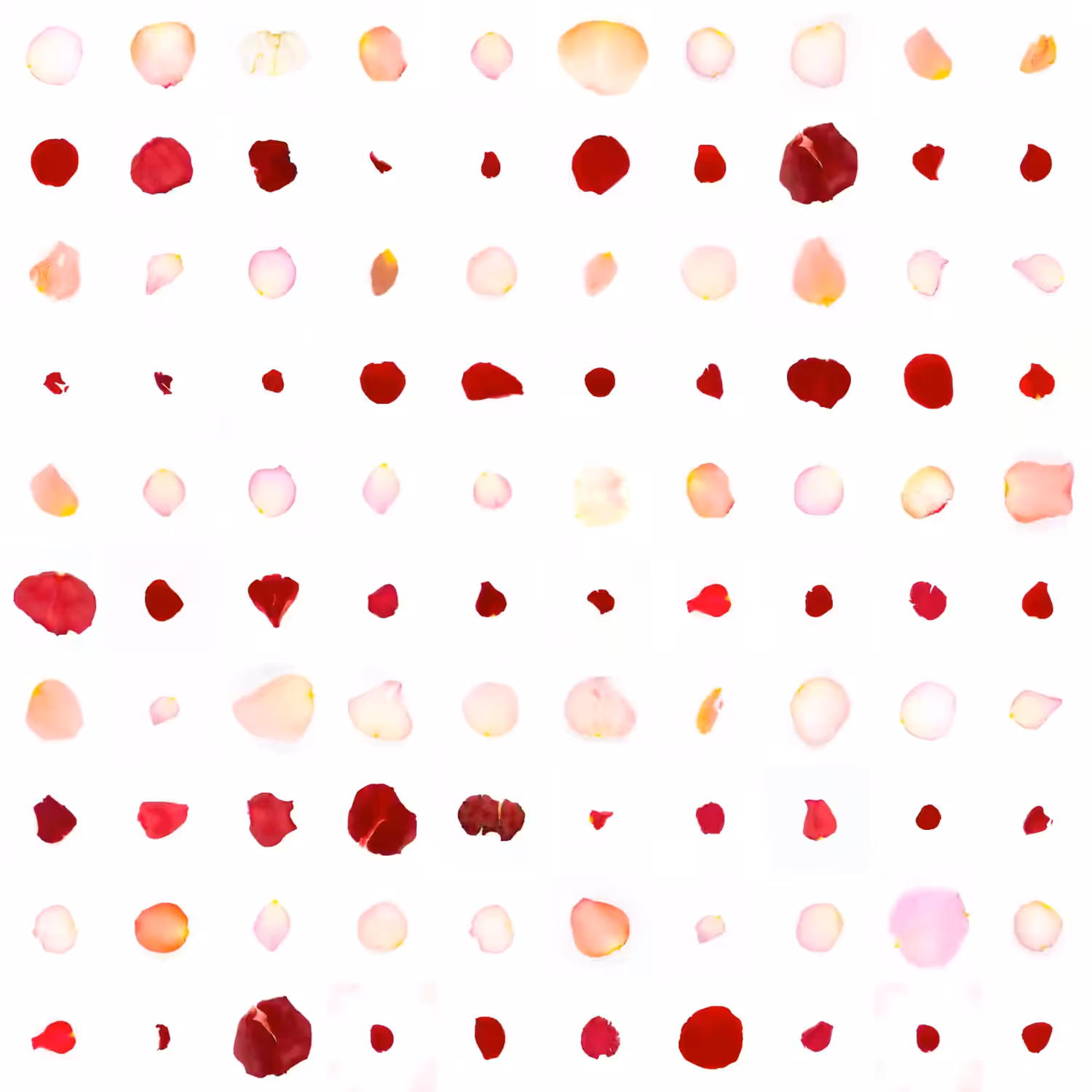 Infinite Petals 10x10#1344