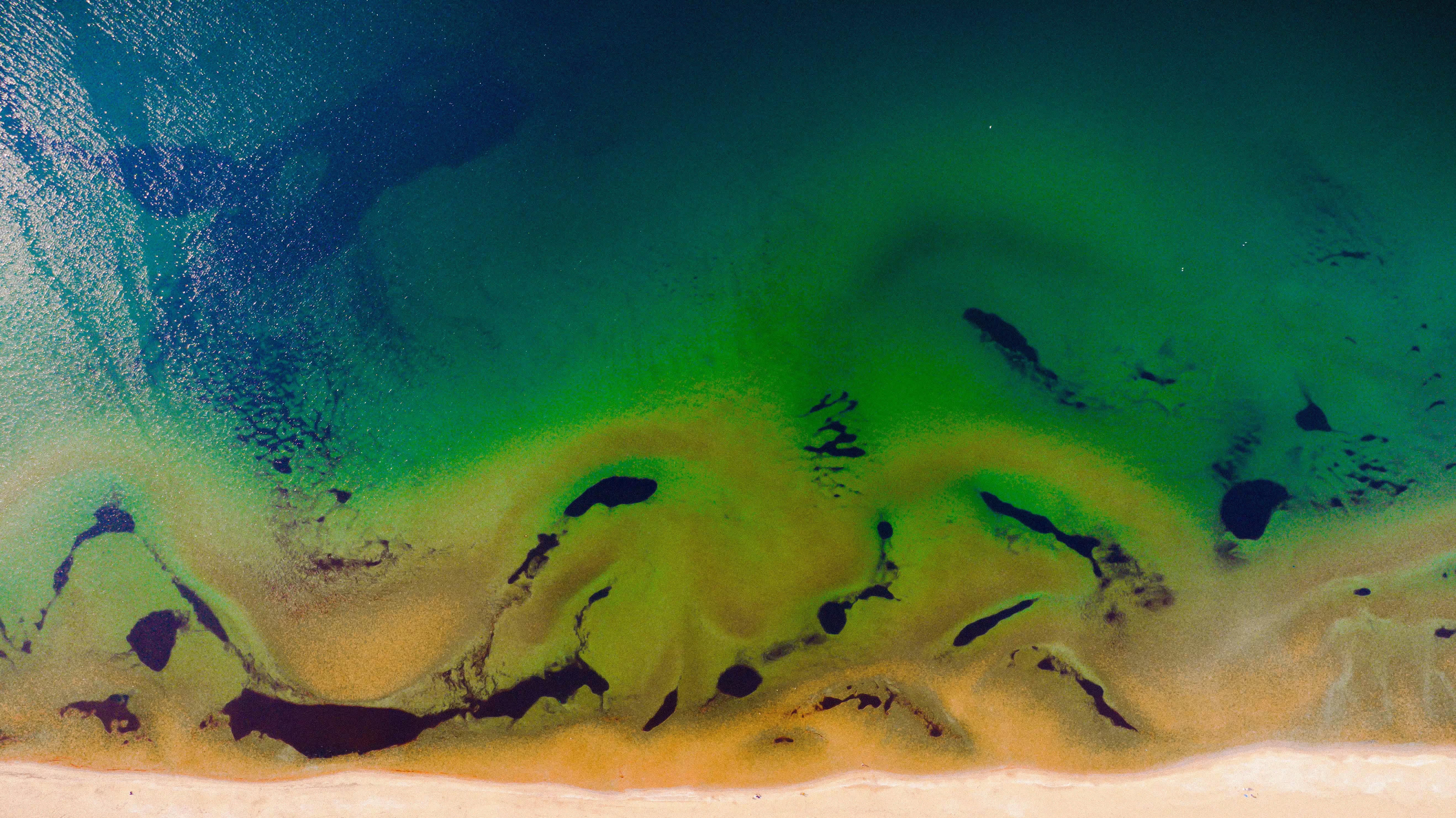 Green in the sea..