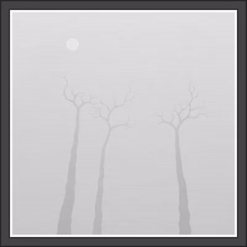 The Foggy Trees #108