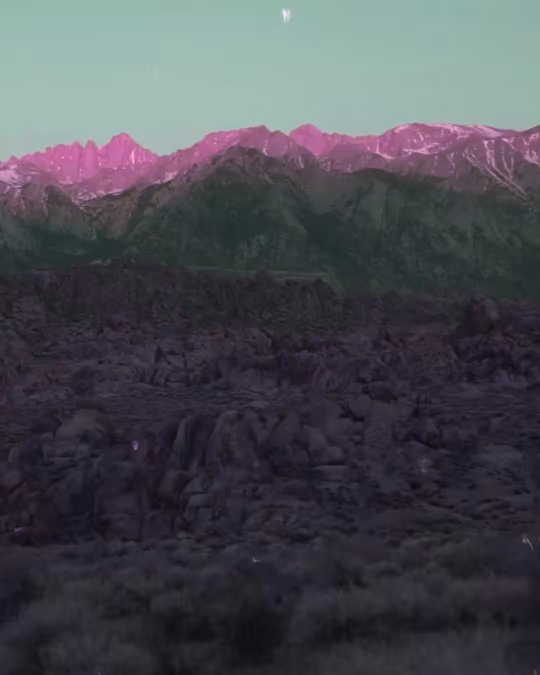 The Search