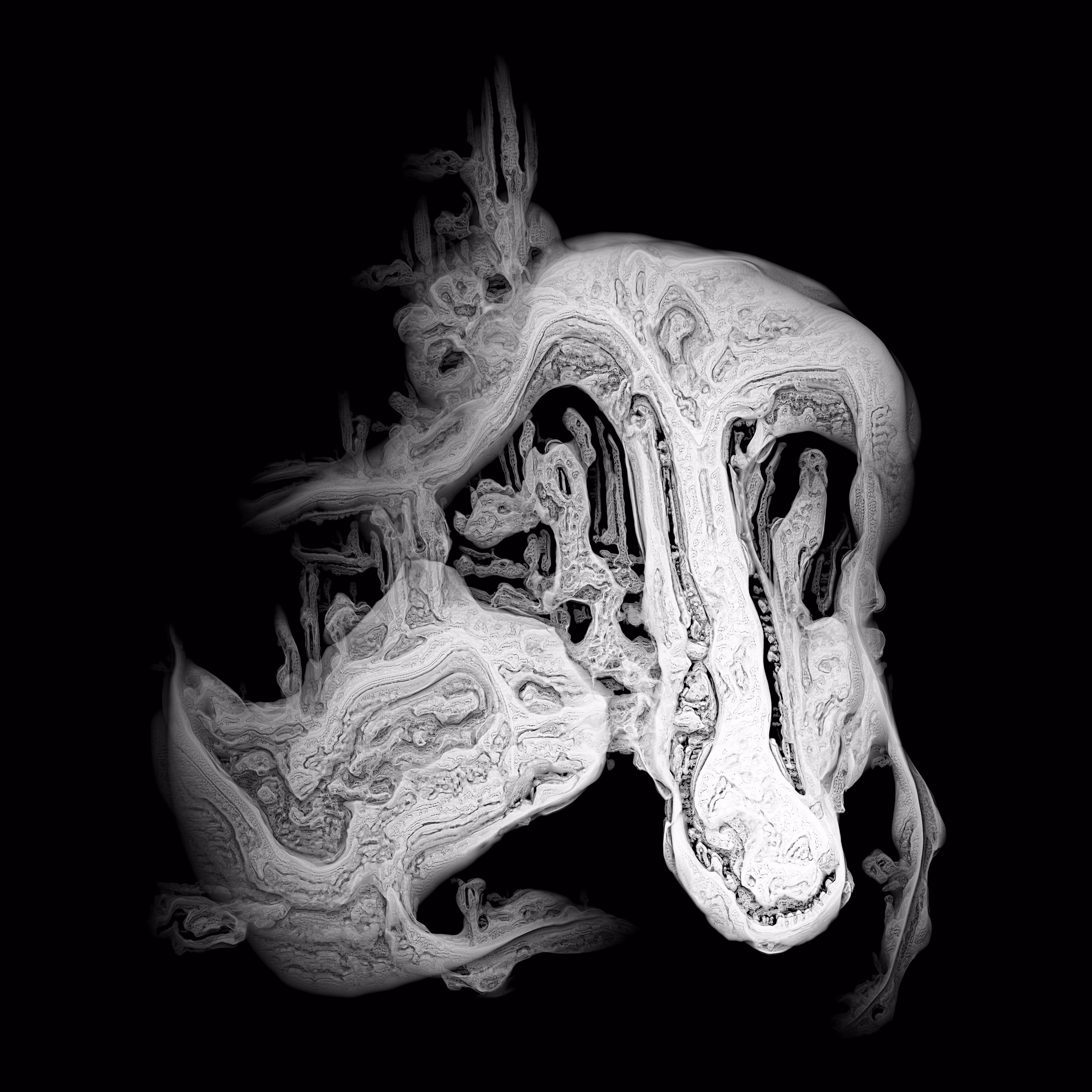 Dragon Bones A