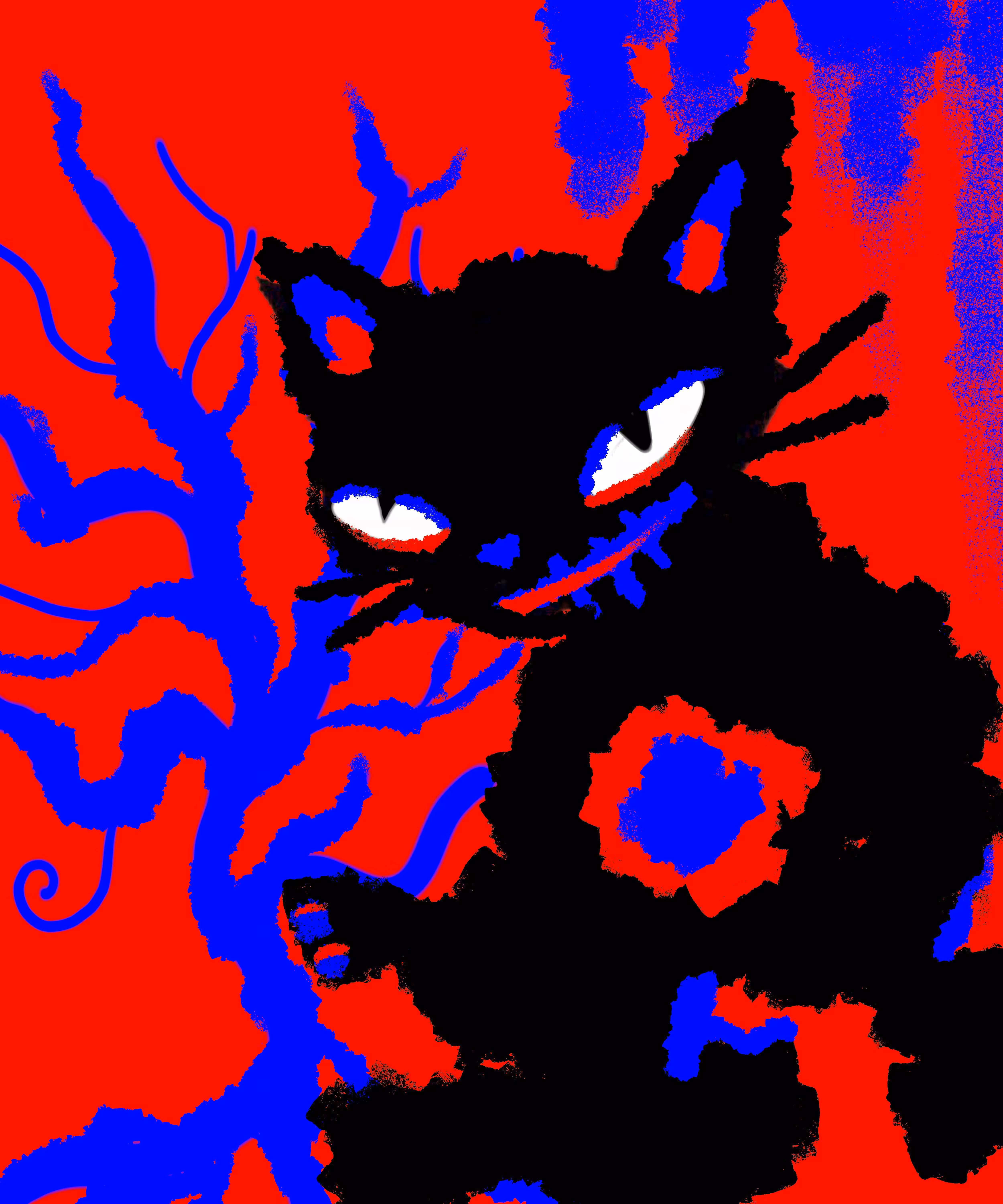 black cat
