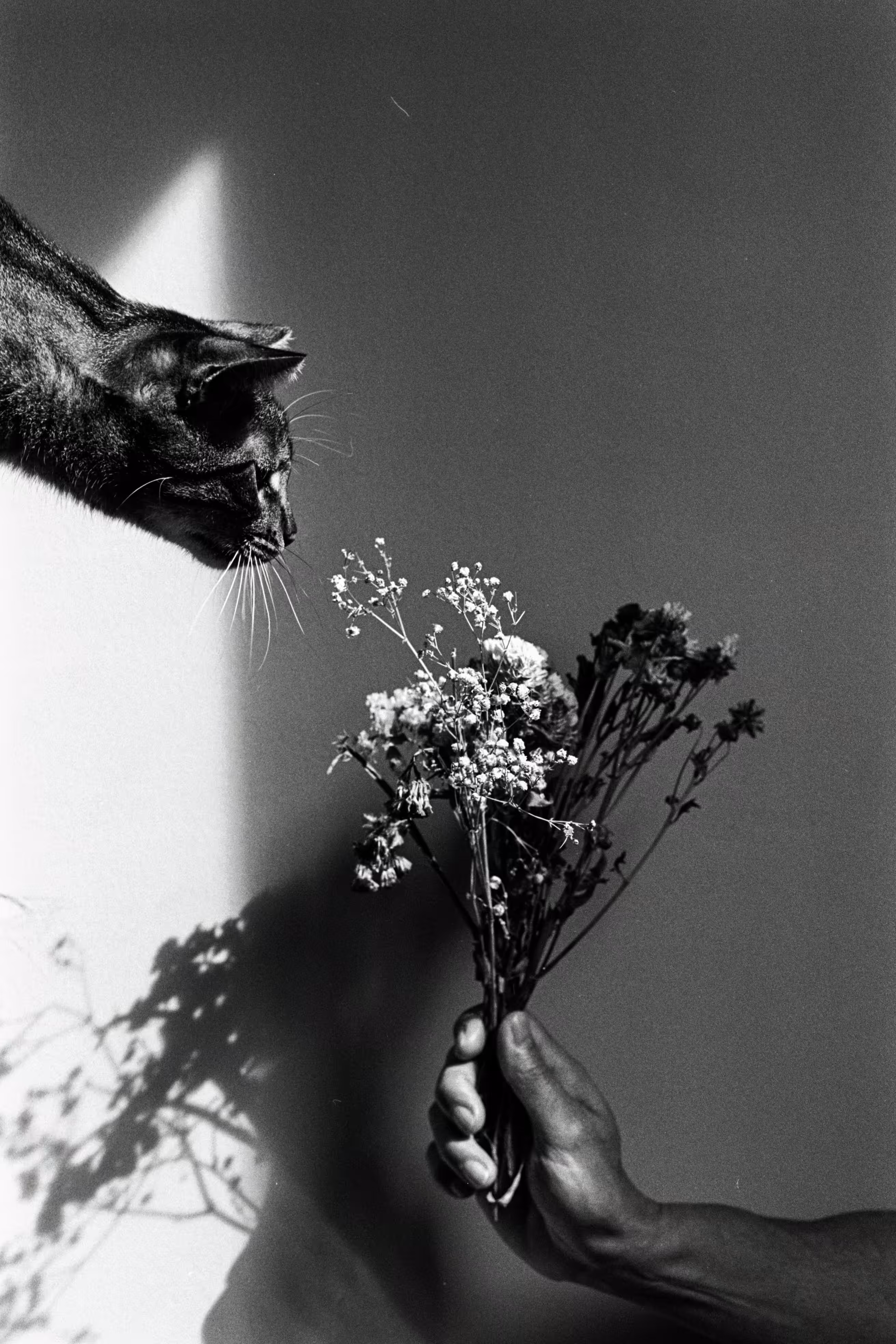 smell