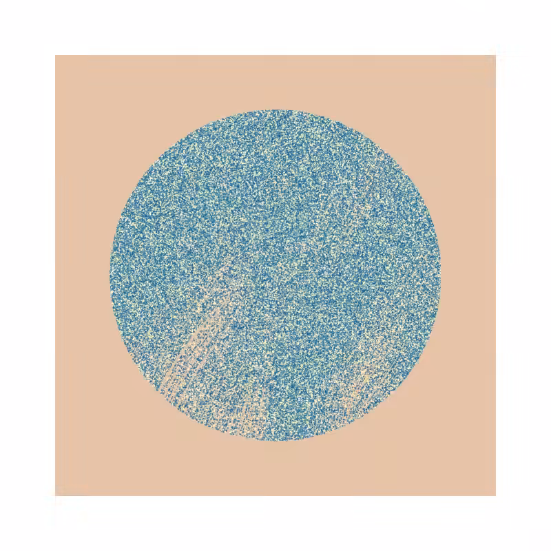 The Spice #35