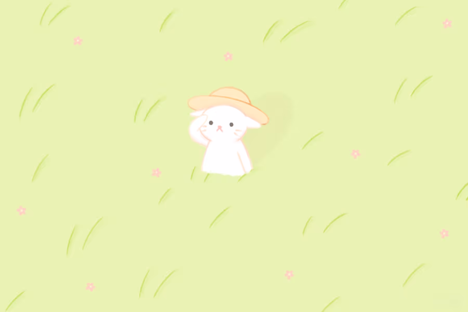 Field