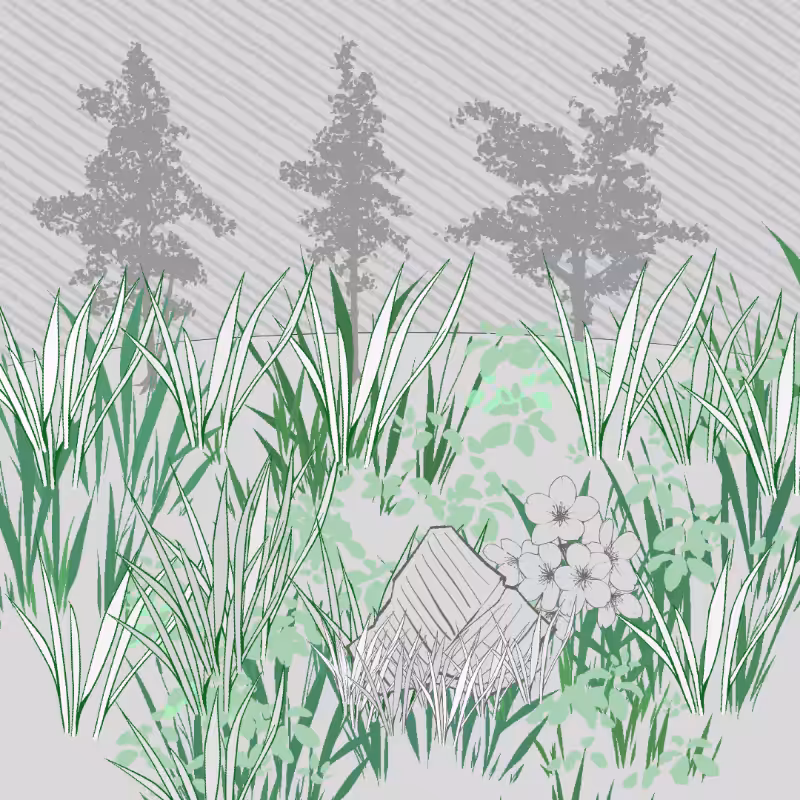 Wild Grass and Rubble #197