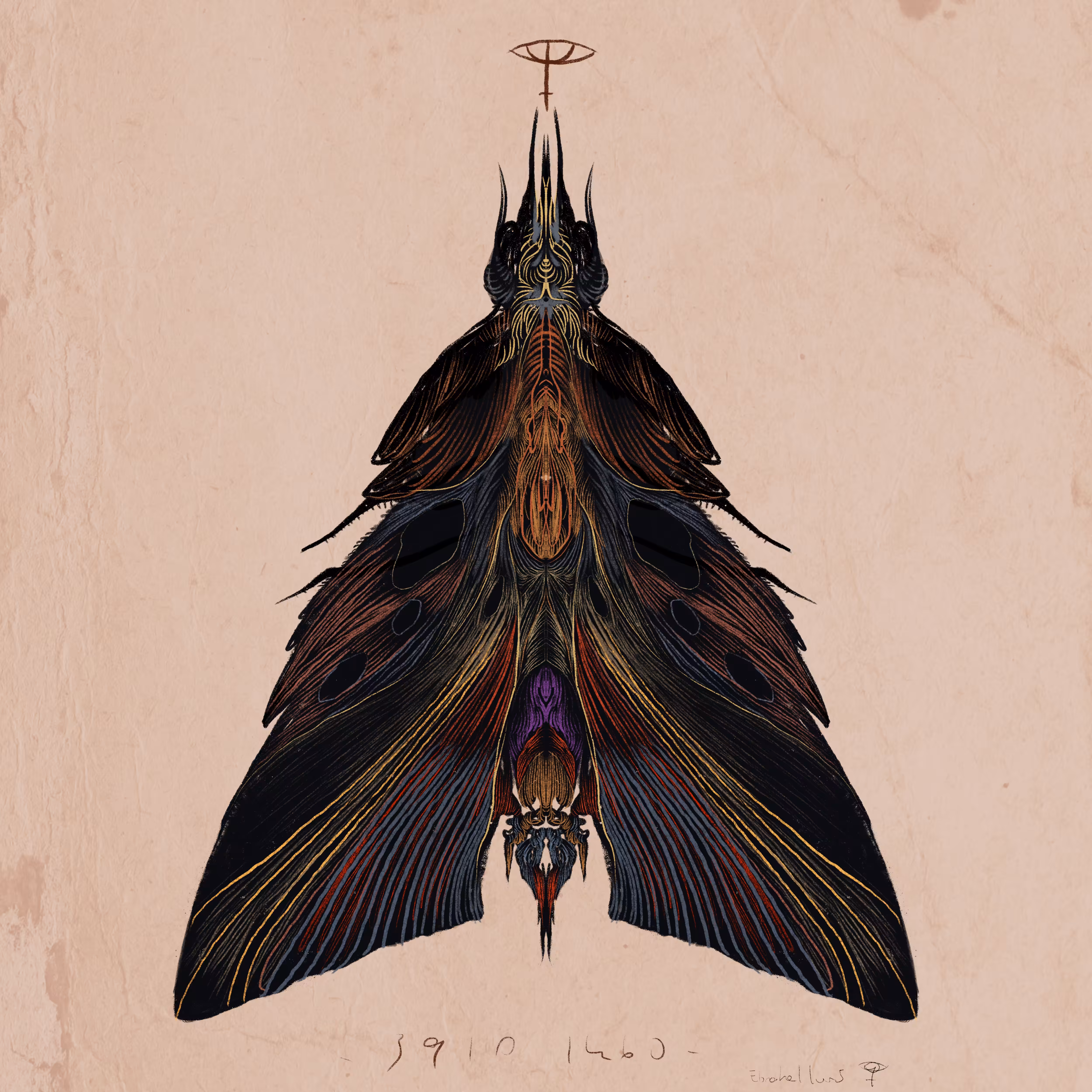 Moth V