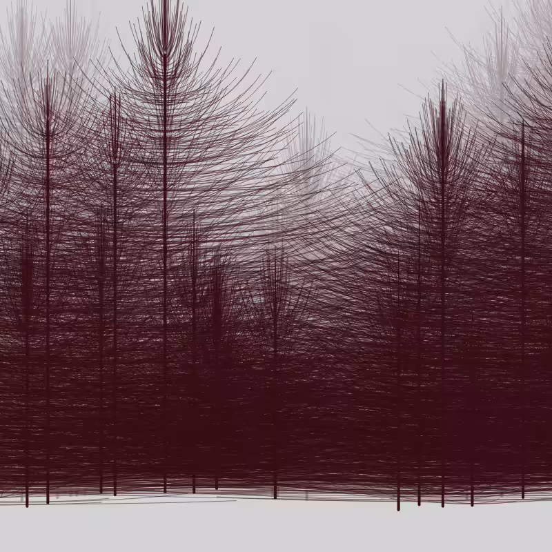 Elfin Forest #25