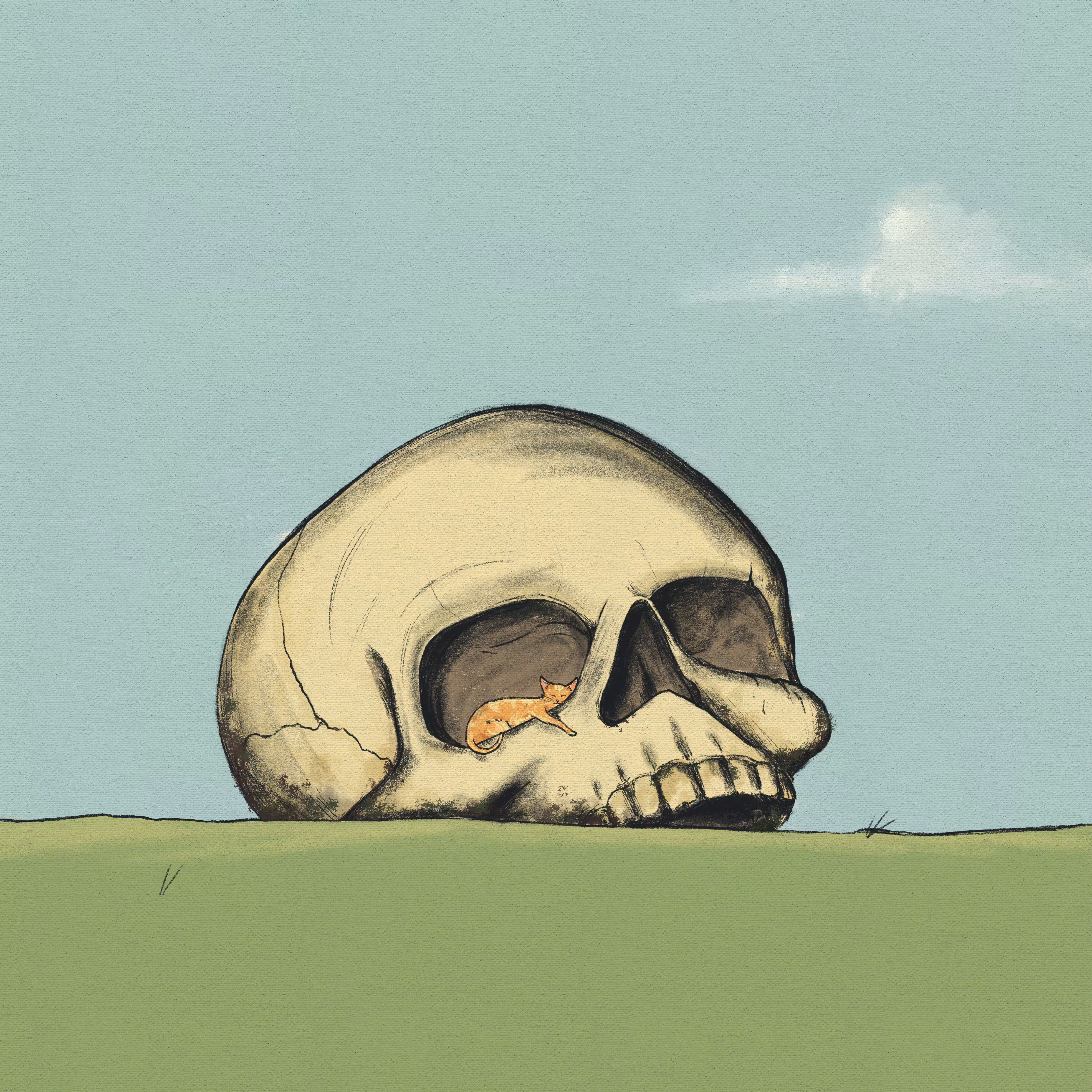 Skull