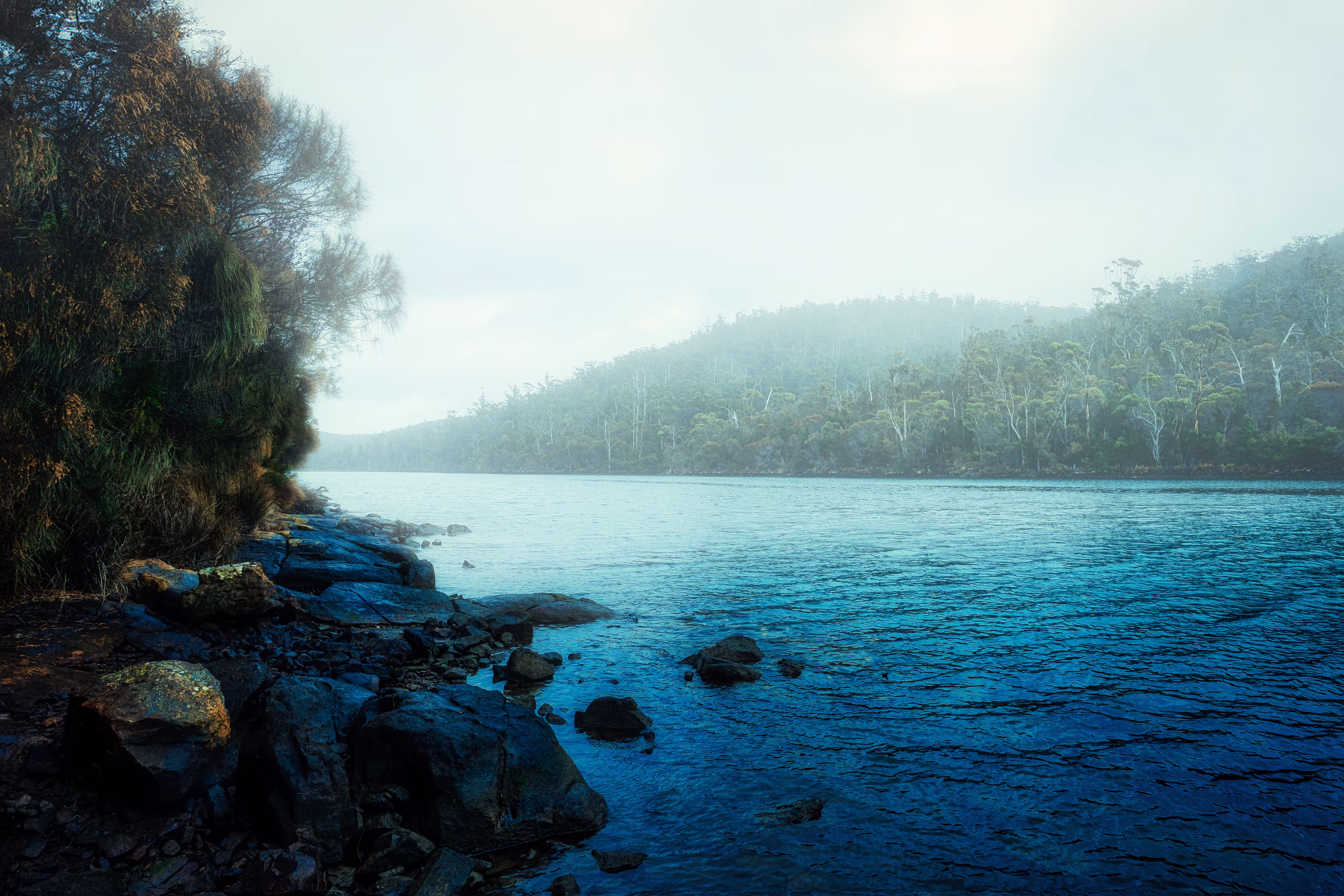 Whispers of Stillness