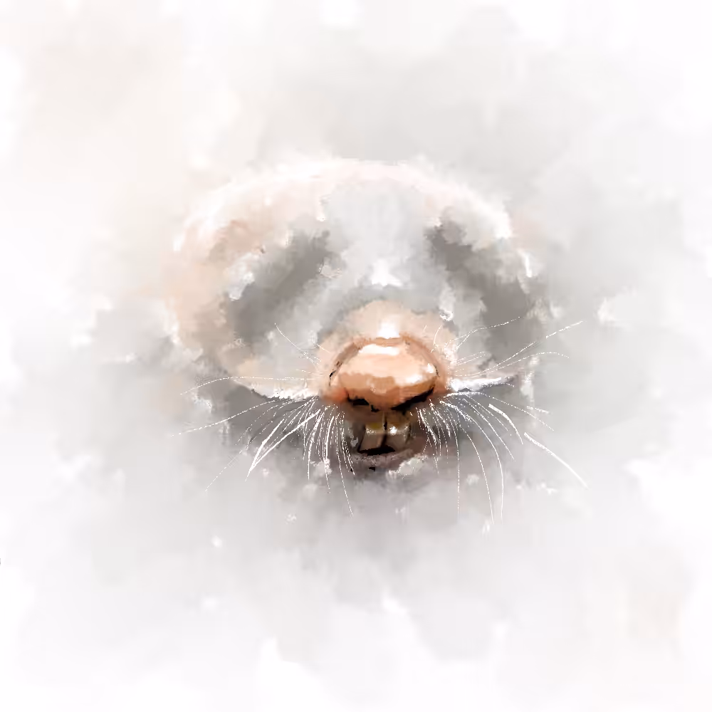 #4 Mole Stain