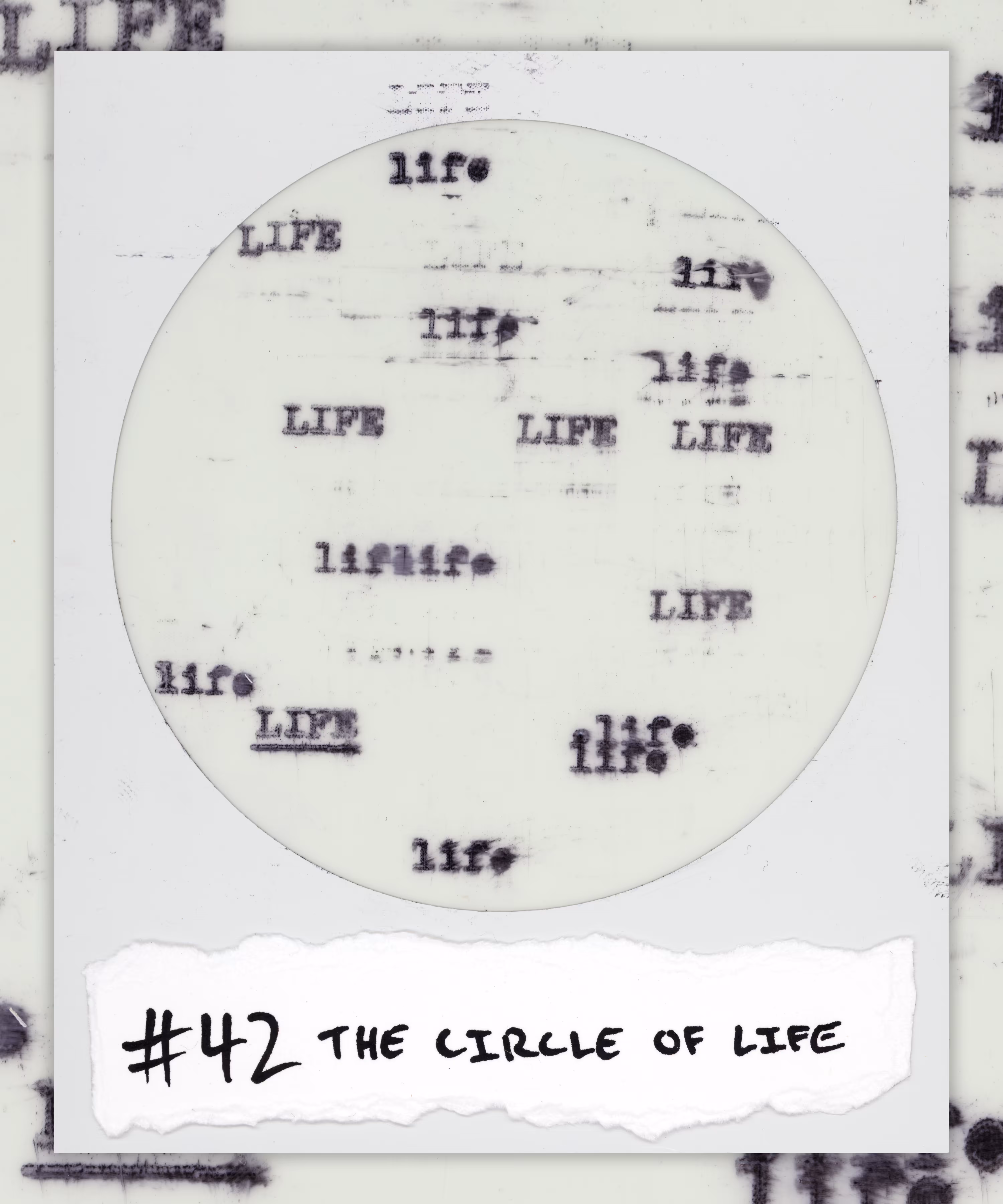 #42 THE CIRCLE OF LIFE