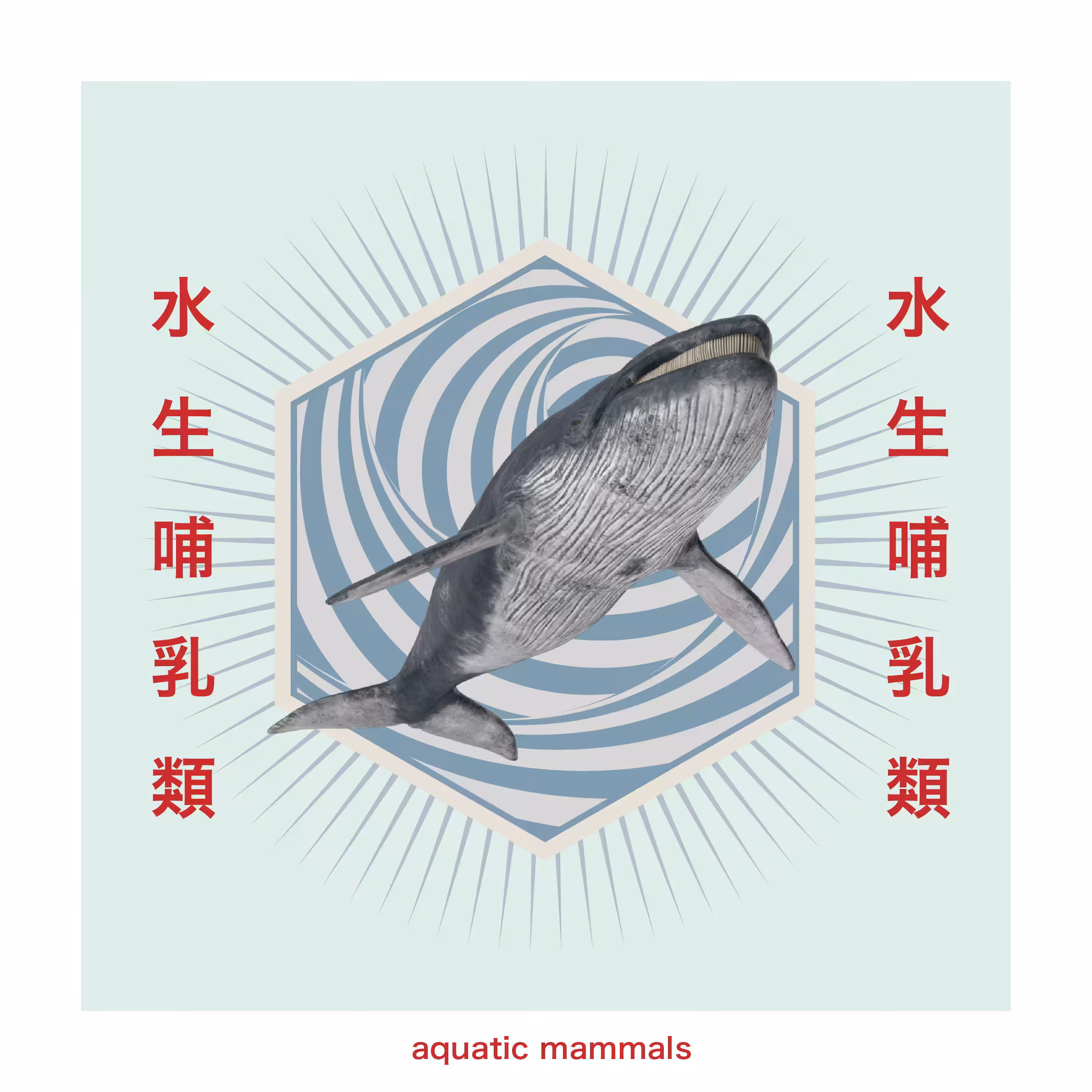 Aquatic Mammals