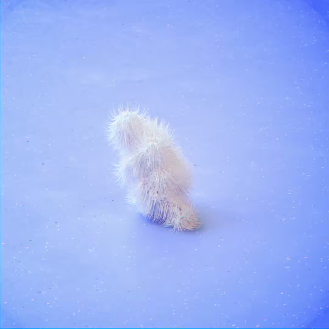 "Furryman".MP4 - 3D original artwork