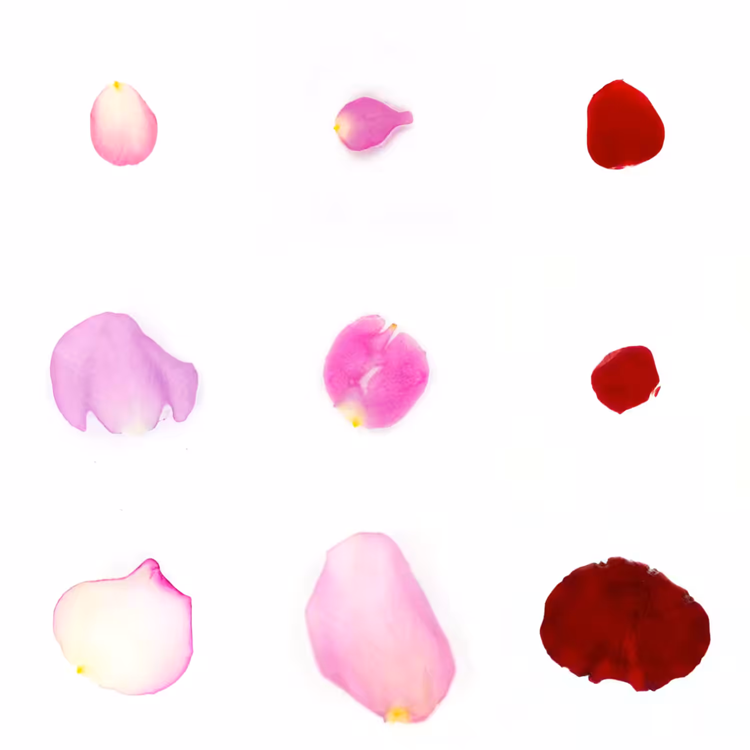 Infinite Petals 3x3#376