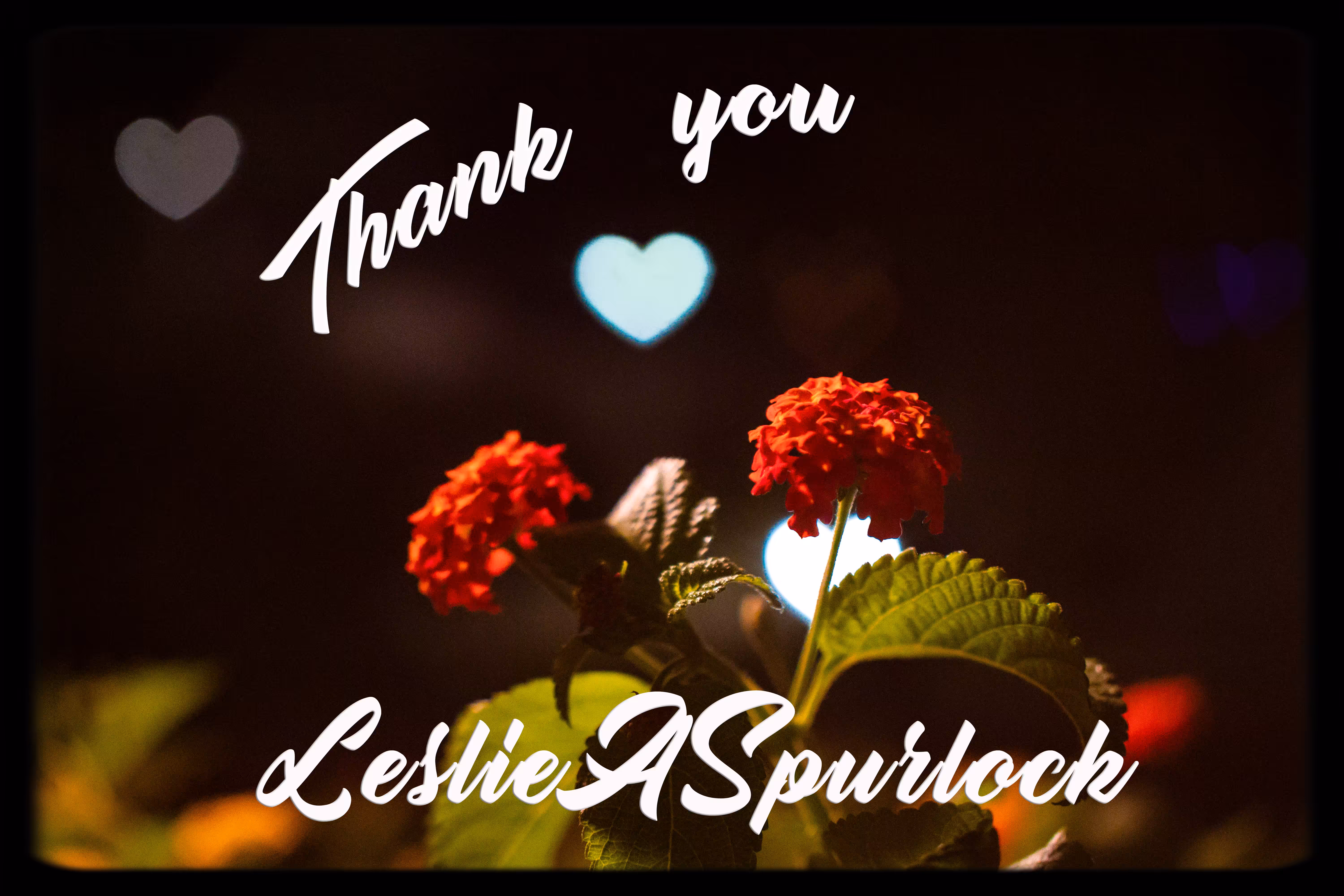Thank You LeslieASpurlock