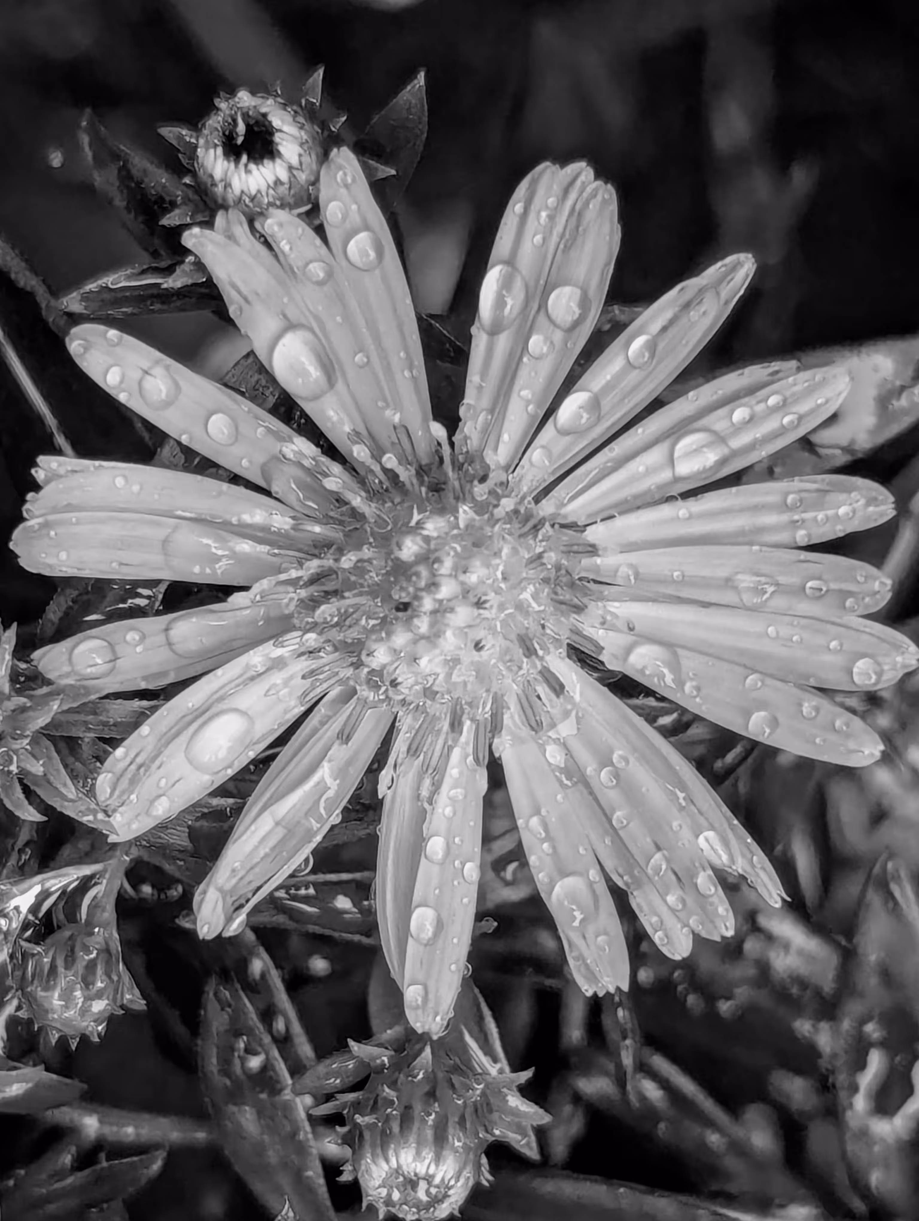 Luke_0x1 Photography : Stars shine in the rain