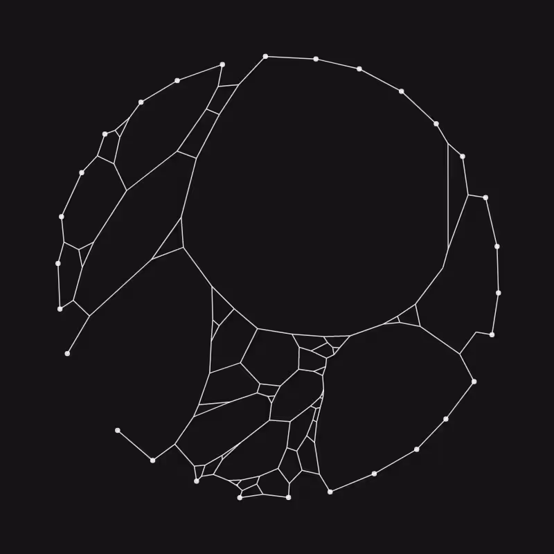 Elastic Web #294