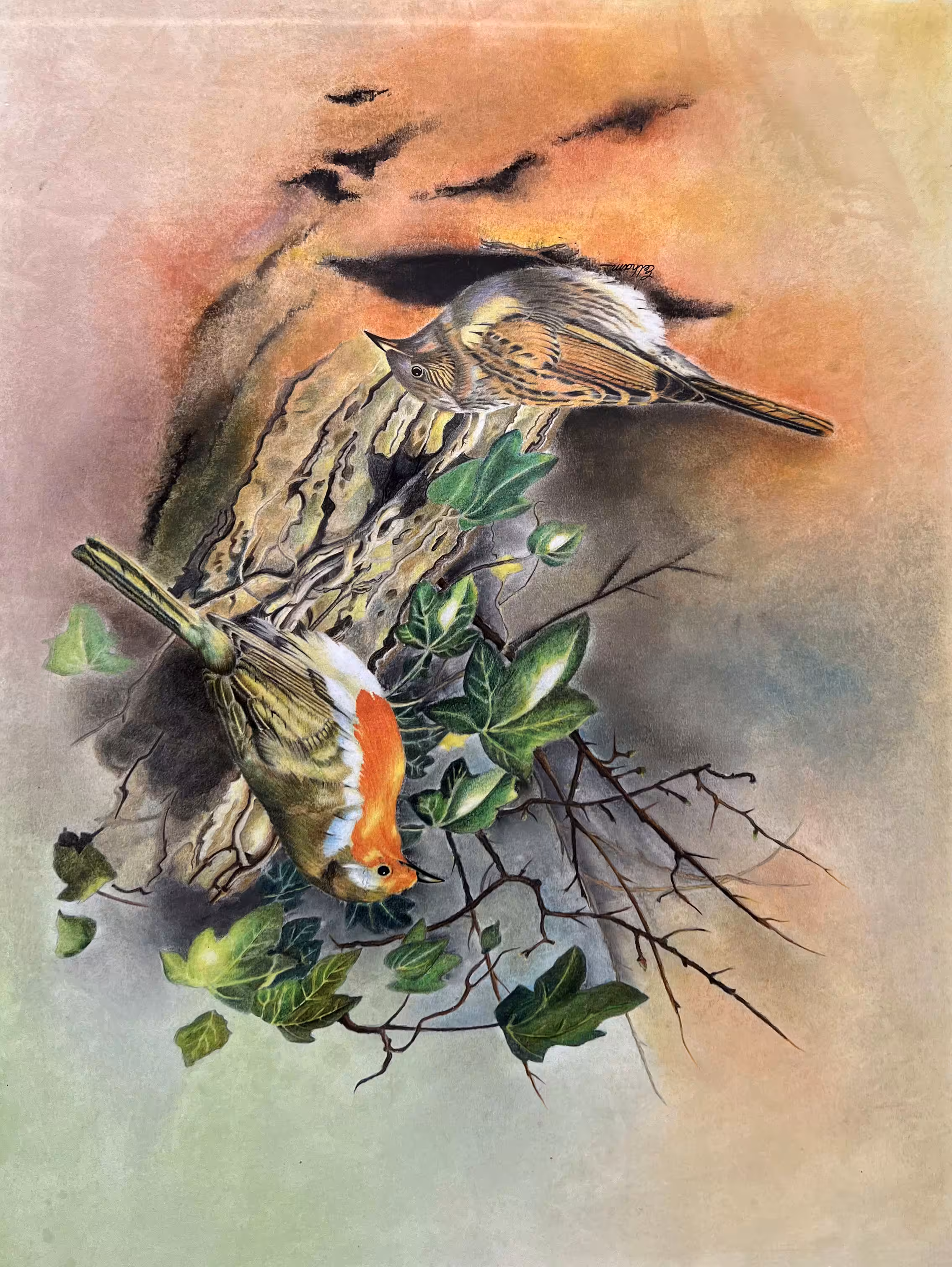 lovely birds