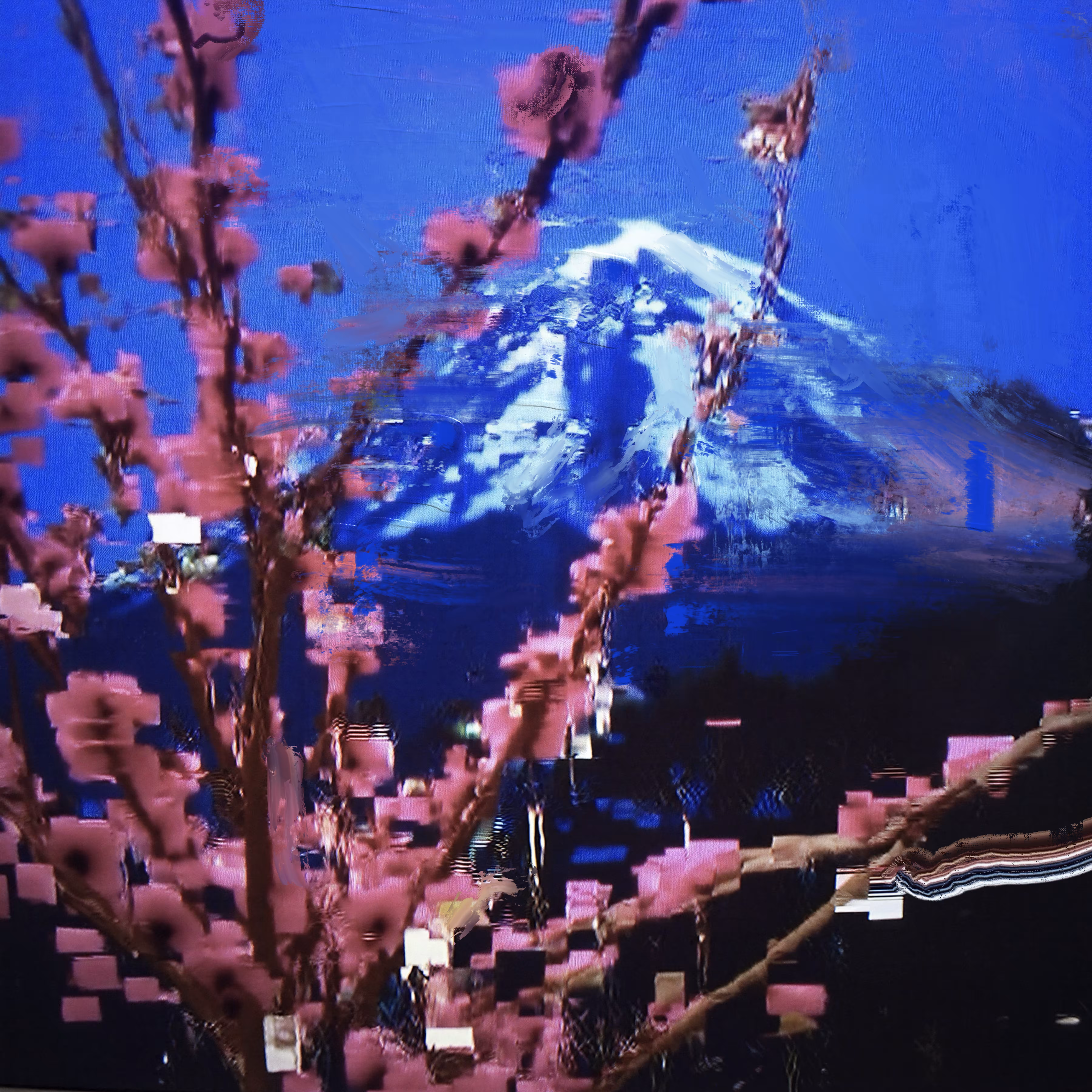 Cherry Blossom with Mount Fuji C