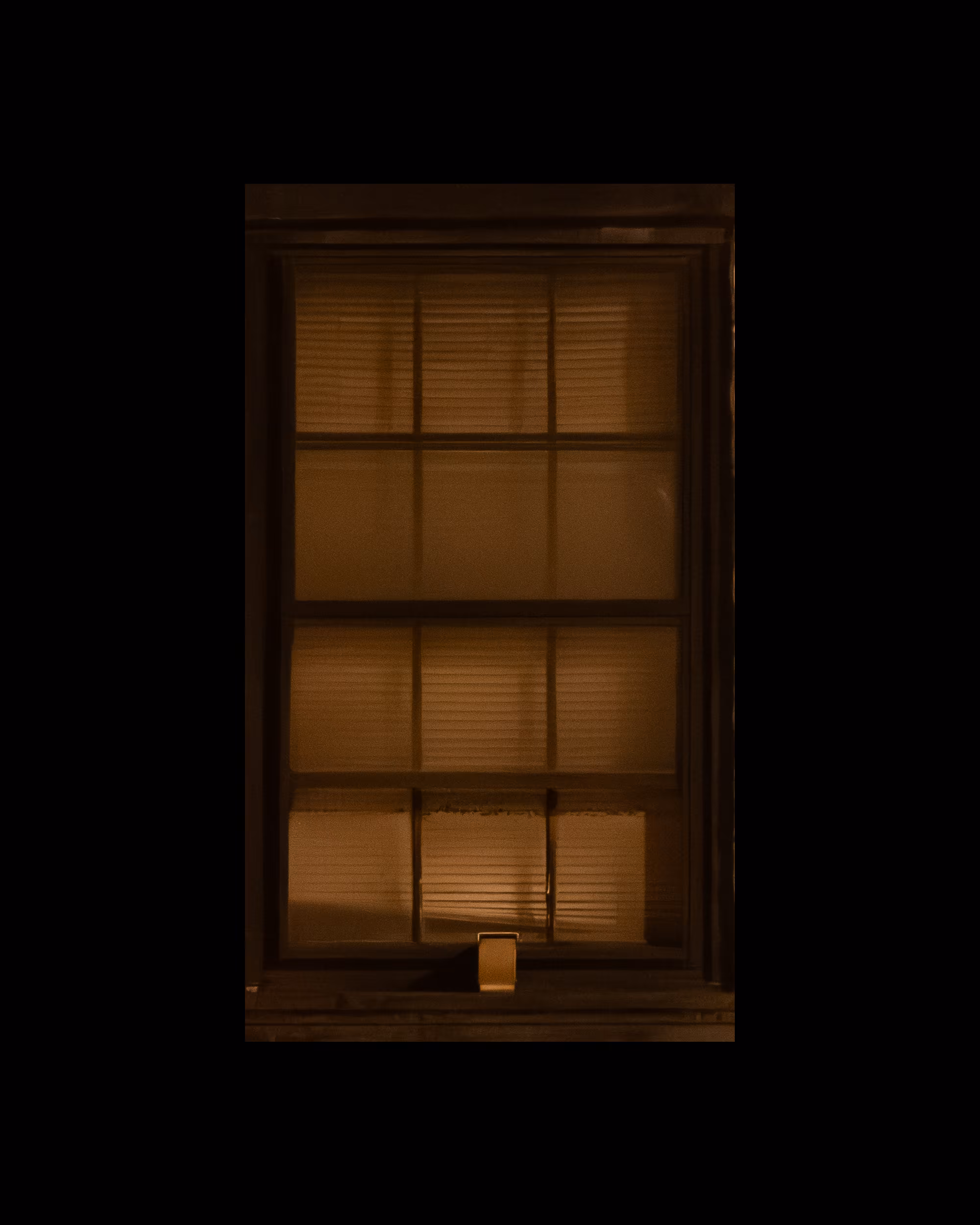 WINDOW 782