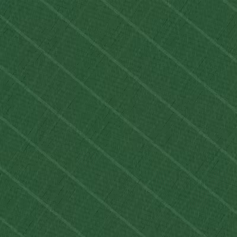 passwxxx009 #15
