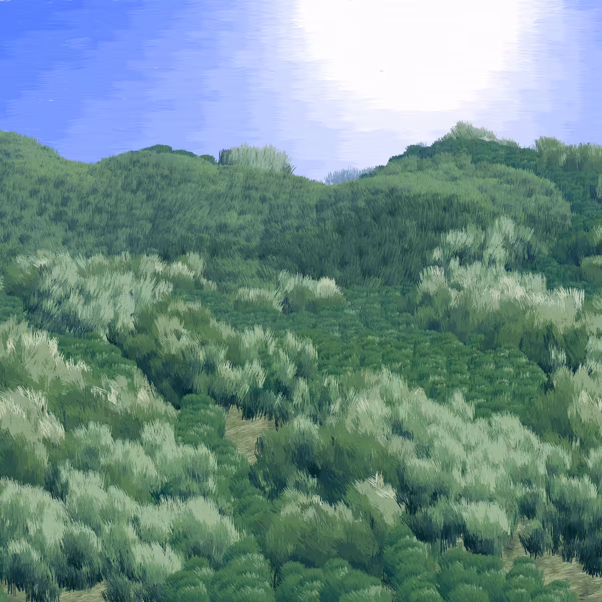 Provence #510