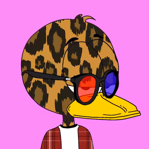 Sugarduck 33