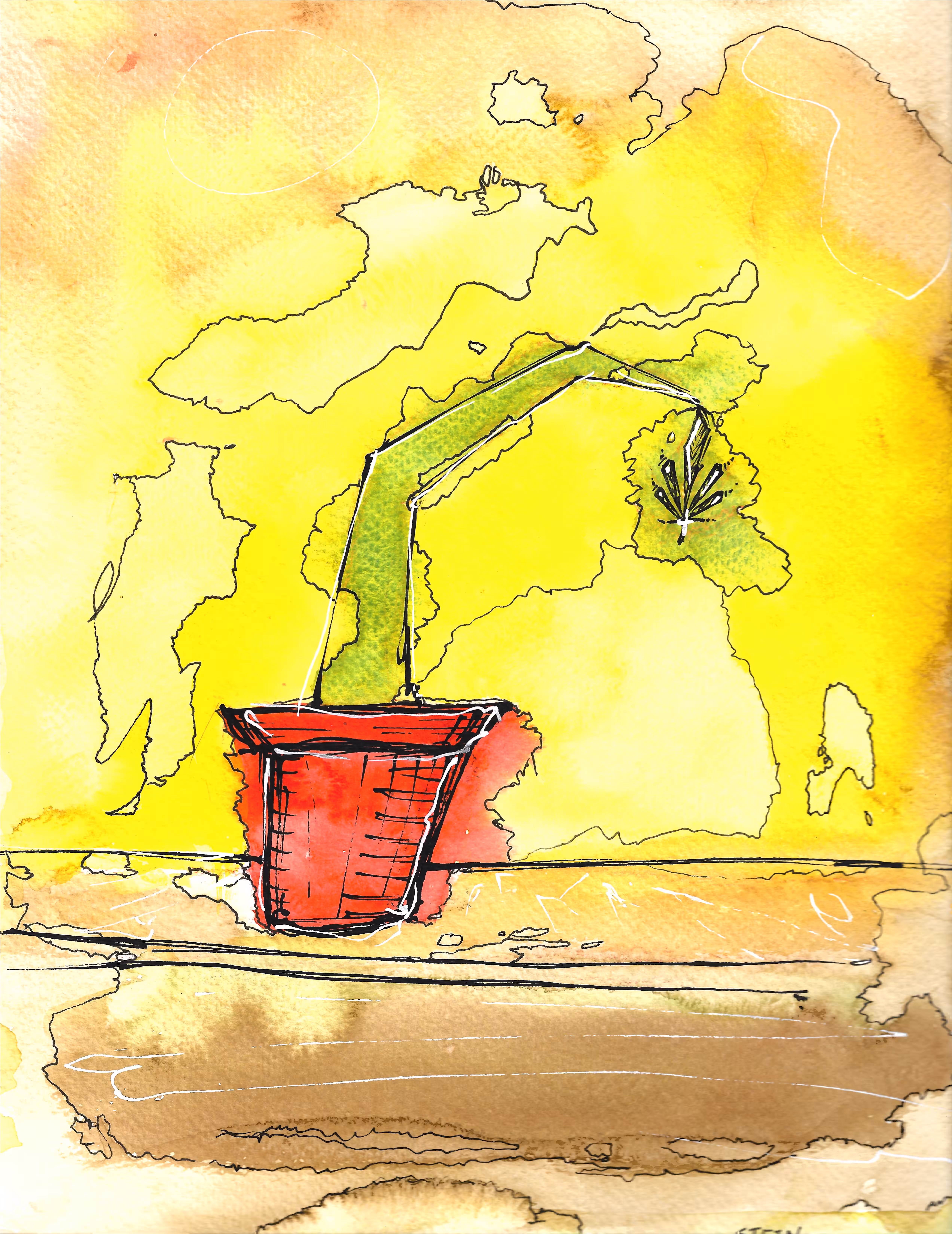 Houseplant
