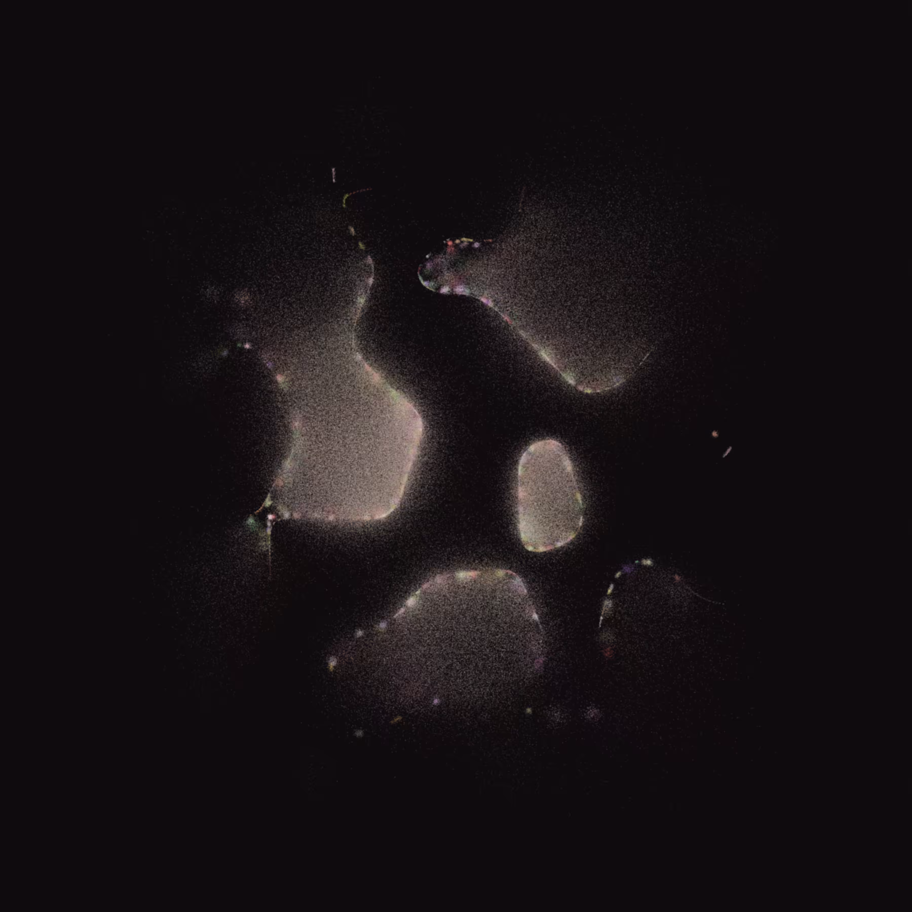 Membrane #14