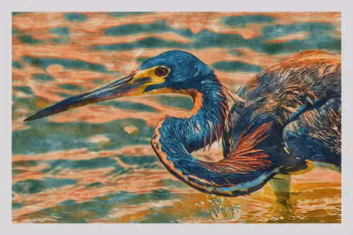 Watercolored Photography: Watercolored 092