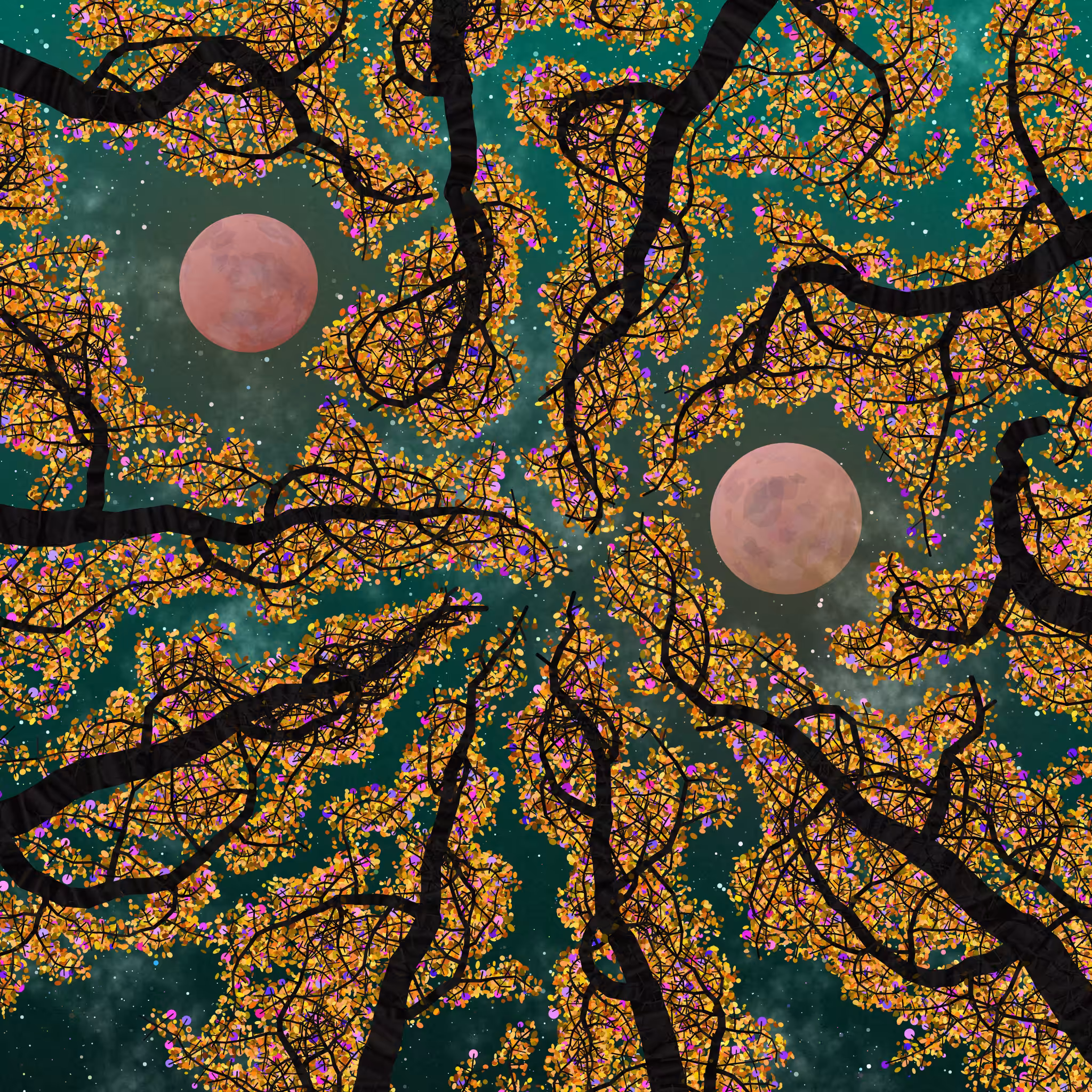 Tree Skyness #29