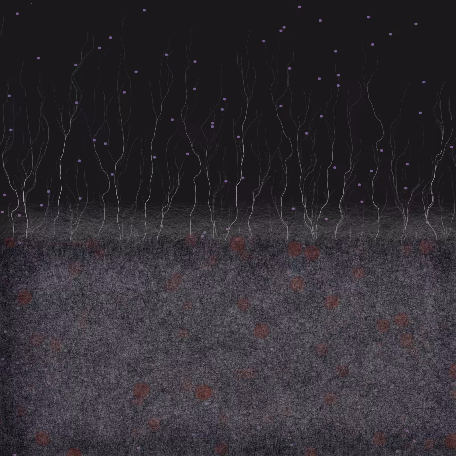 branches #1