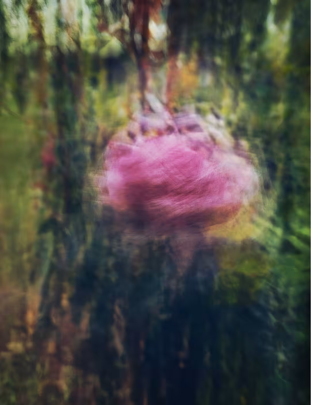 Forest Rose