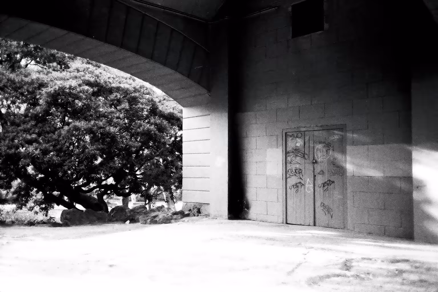 Alone